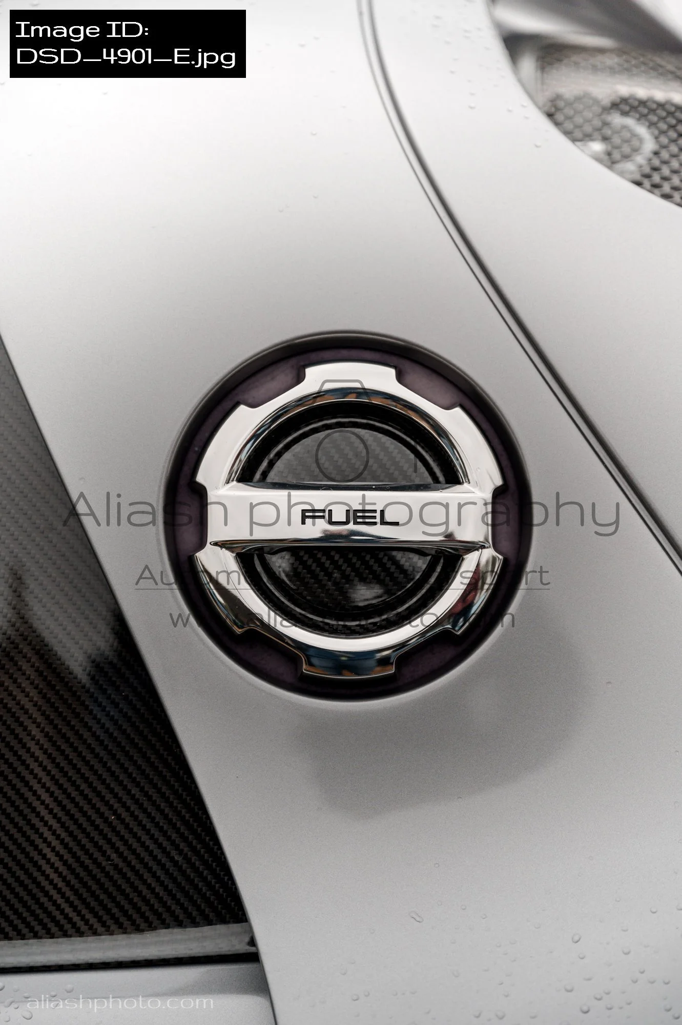 DSD_4901_E.jpg
