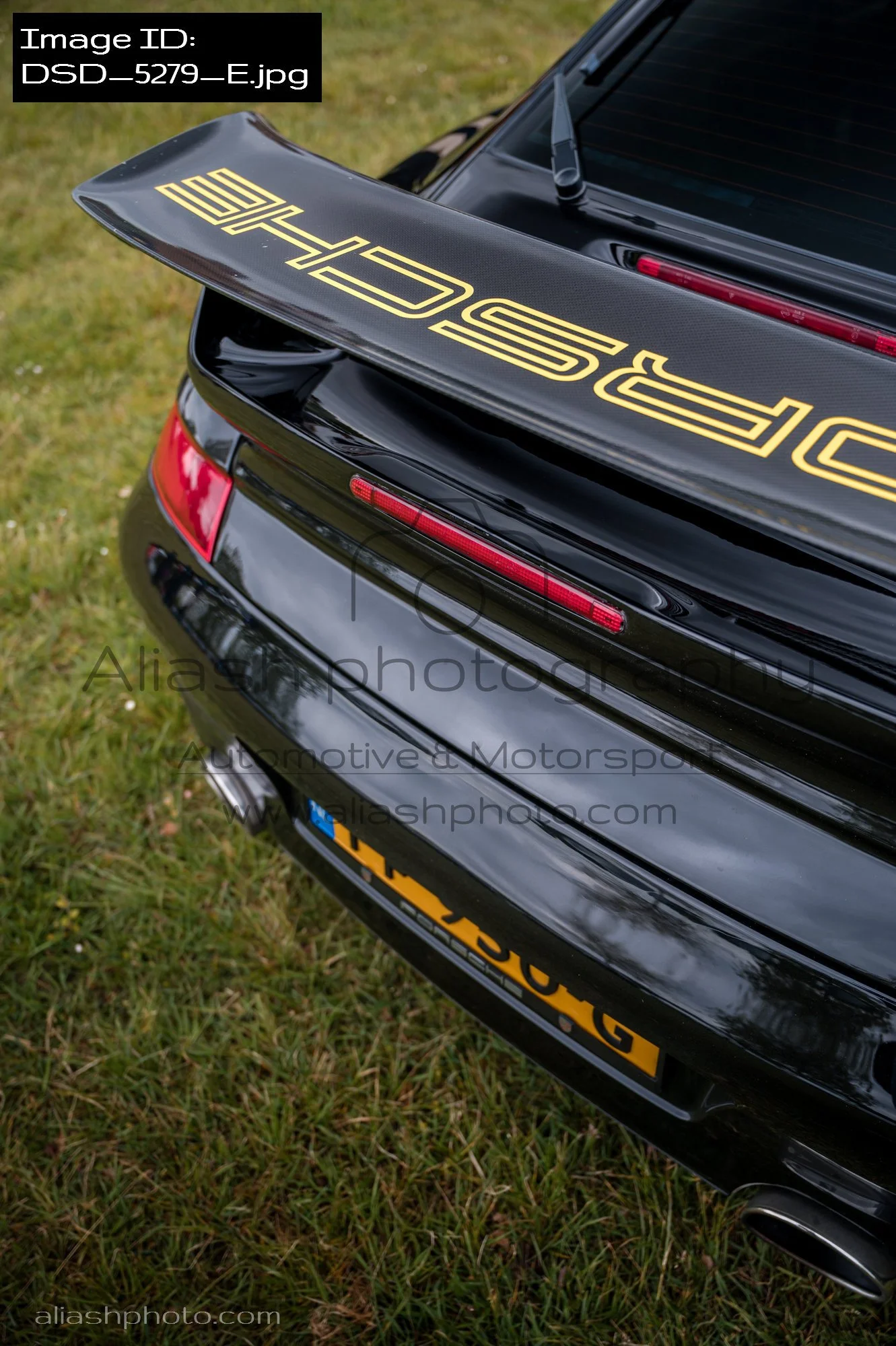 DSD_5279_E.jpg