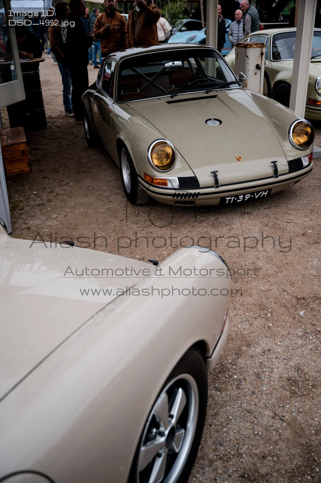 DSD_4952.jpg
