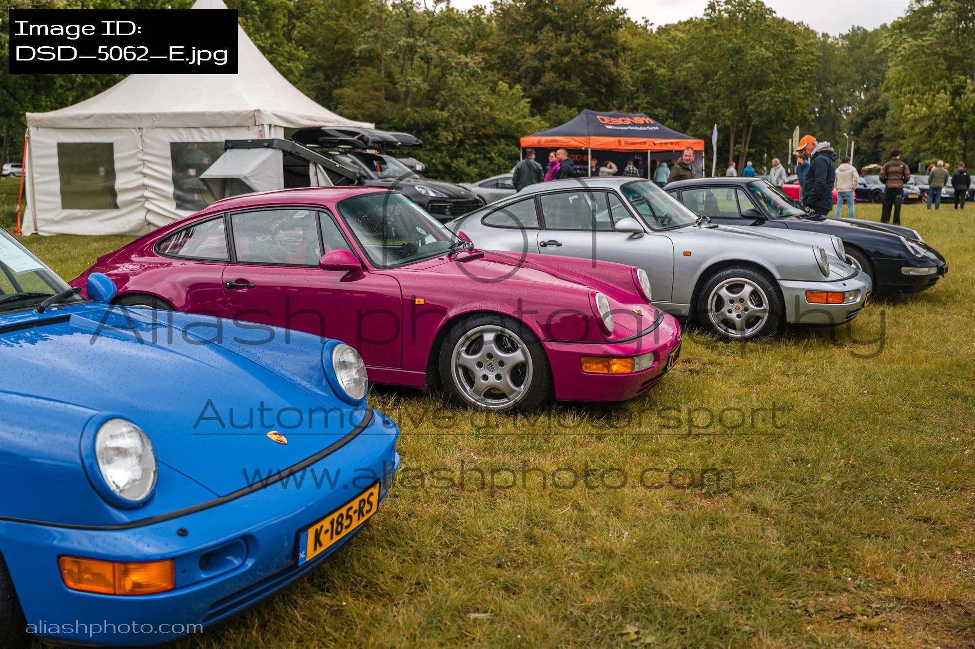 DSD_5062_E.jpg