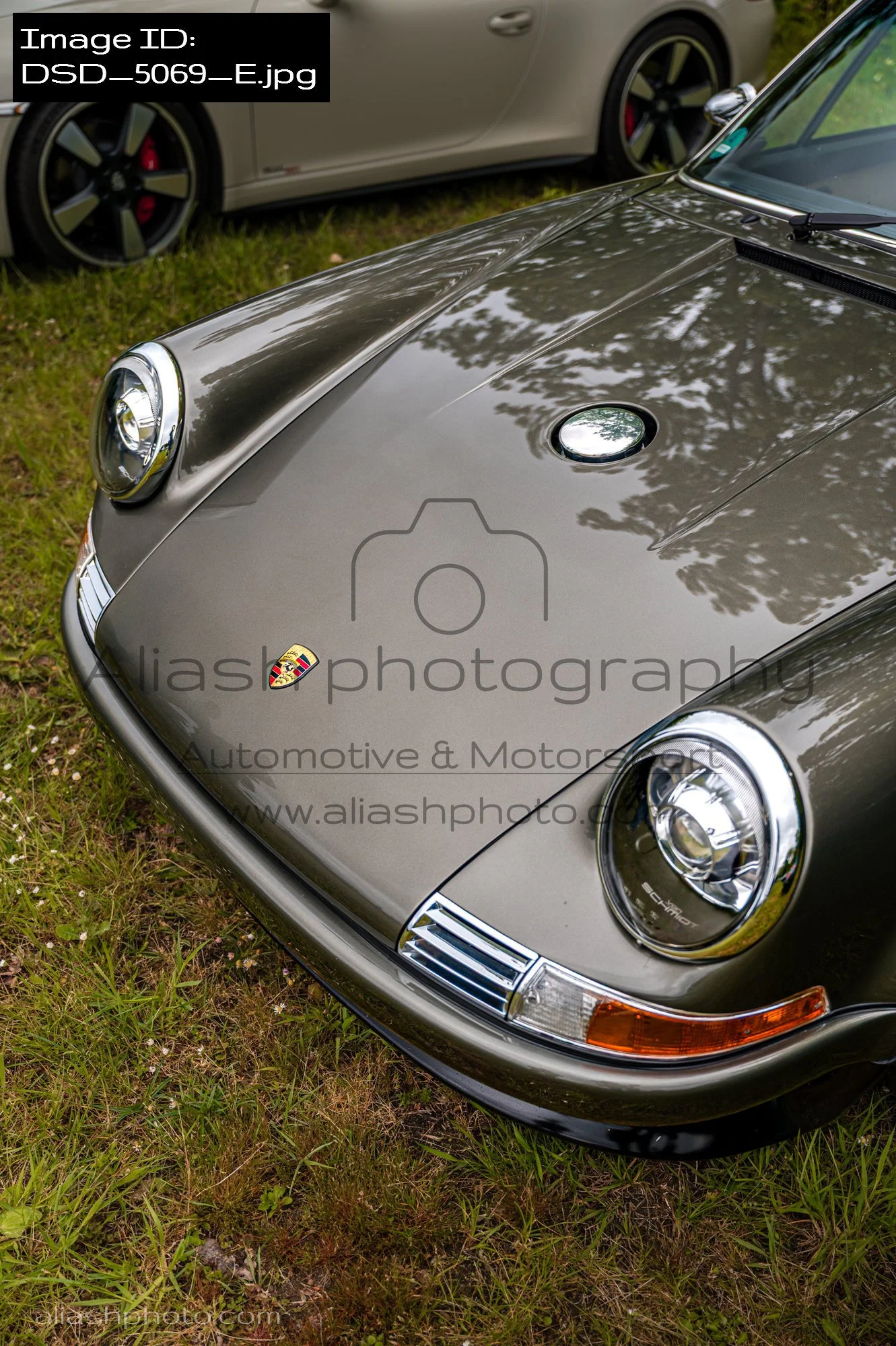 DSD_5069_E.jpg