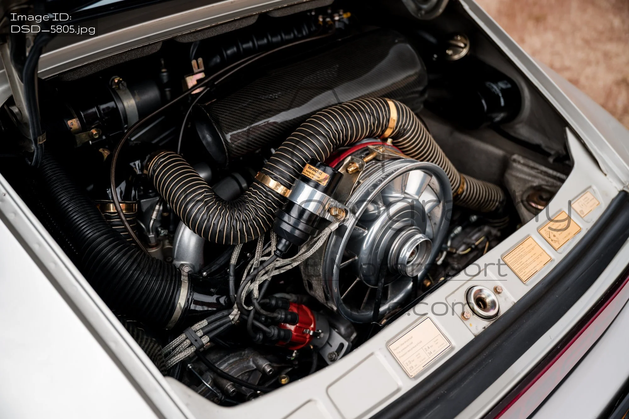 DSD_5805.jpg