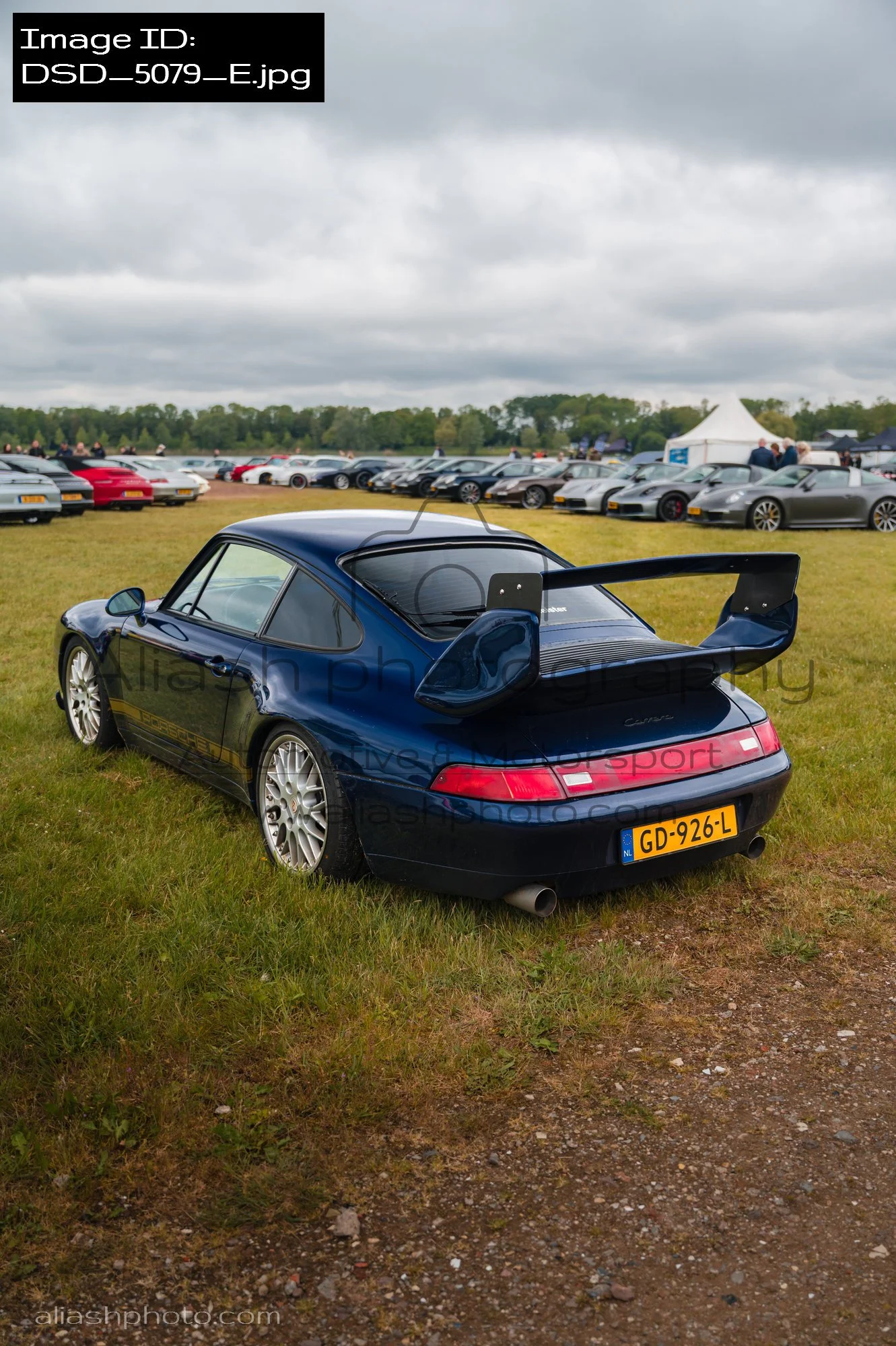 DSD_5079_E.jpg