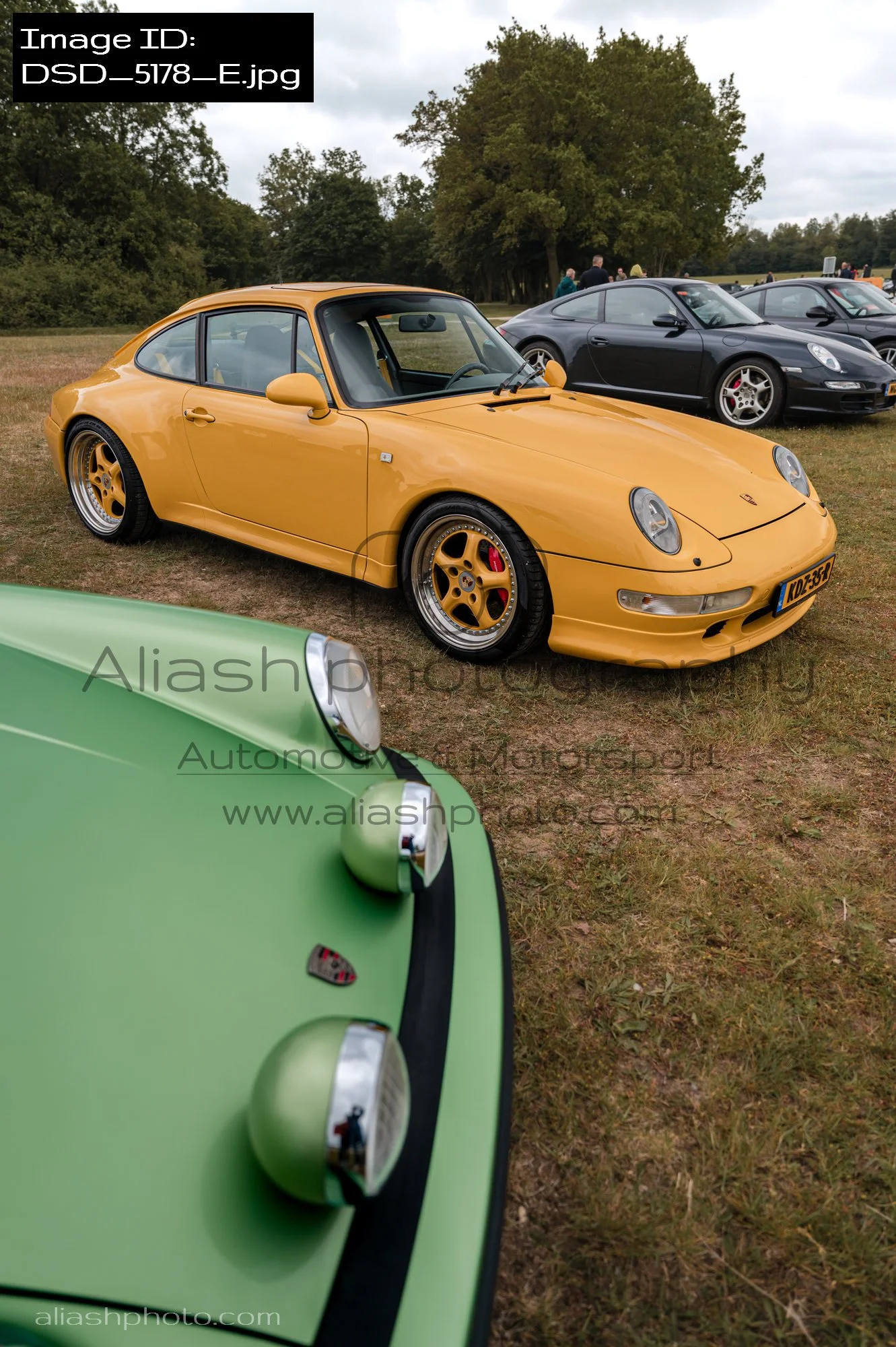 DSD_5178_E.jpg