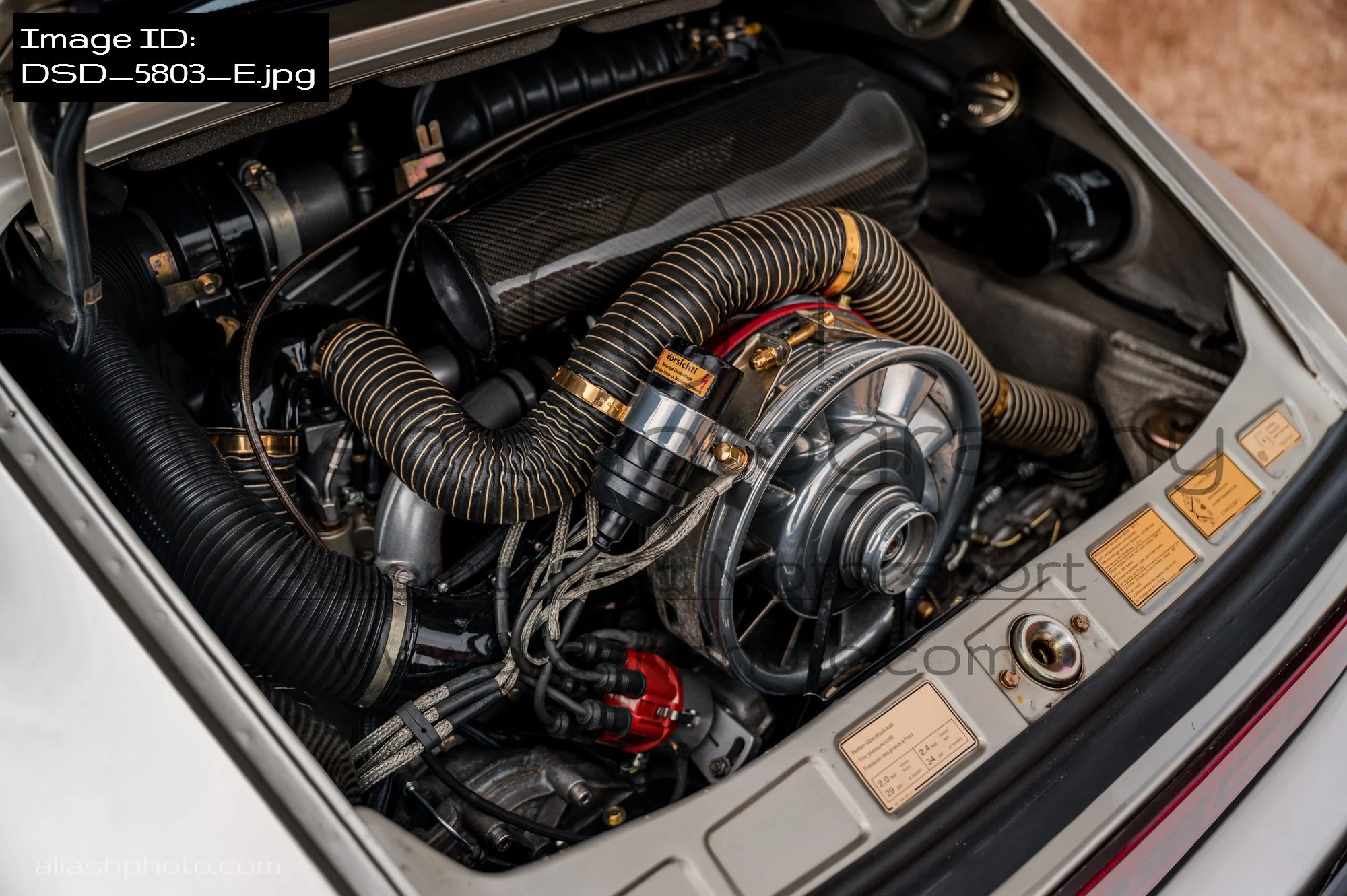 DSD_5803_E.jpg