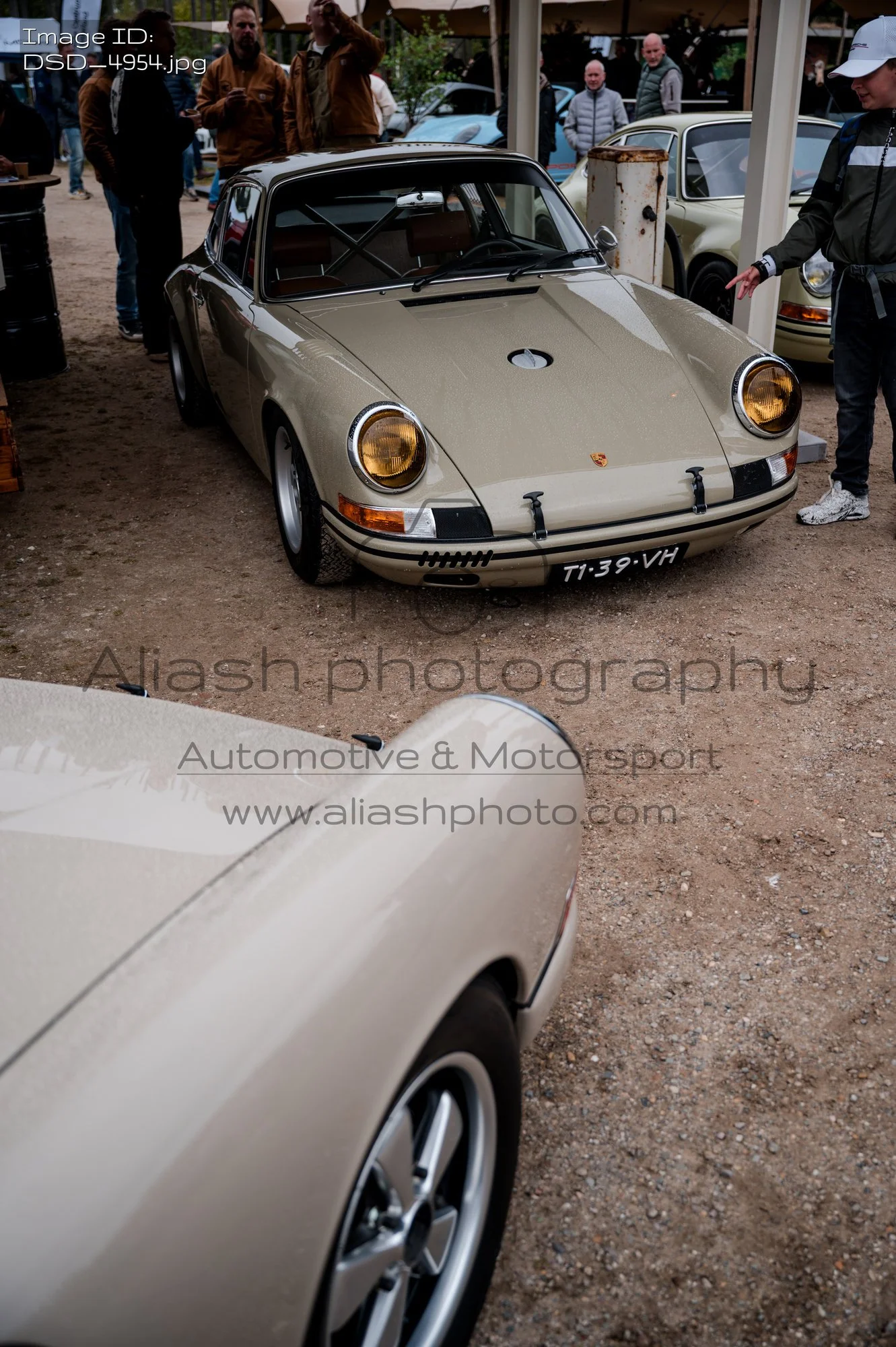 DSD_4954.jpg