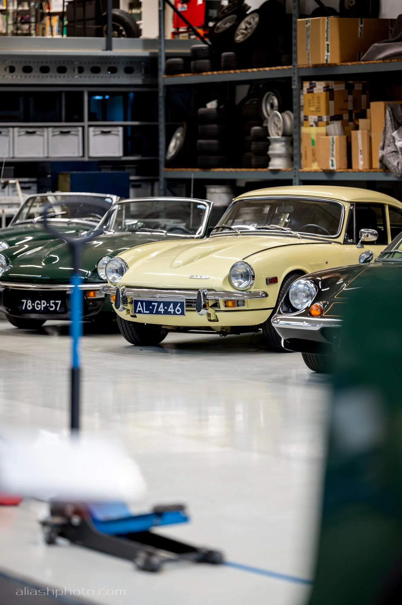 DSD_8871_S.jpg