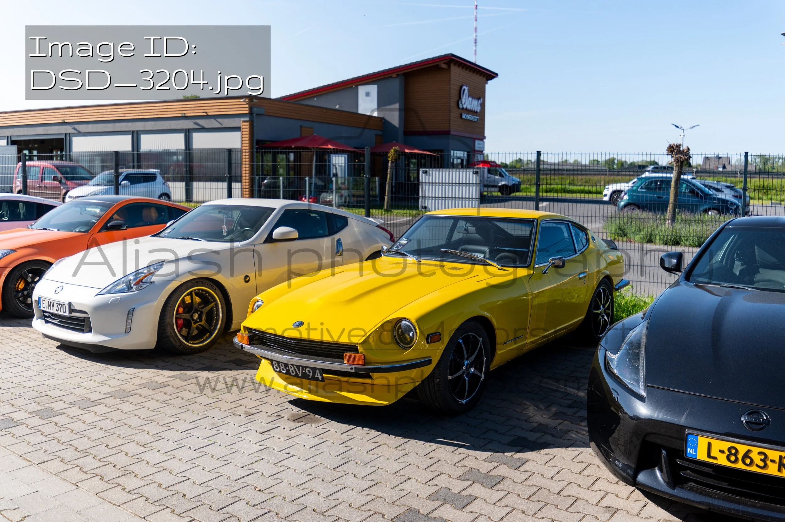 DSD_3204.jpg