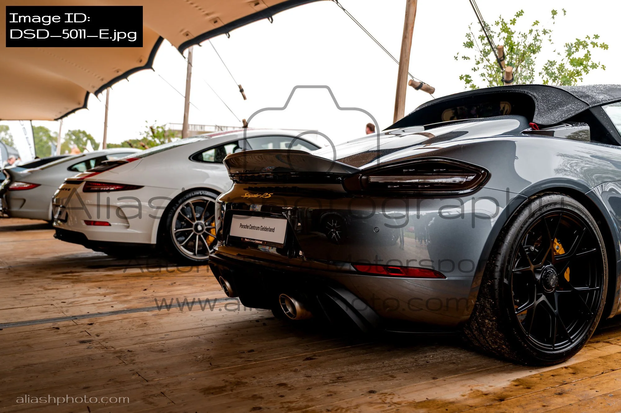 DSD_5011_E.jpg