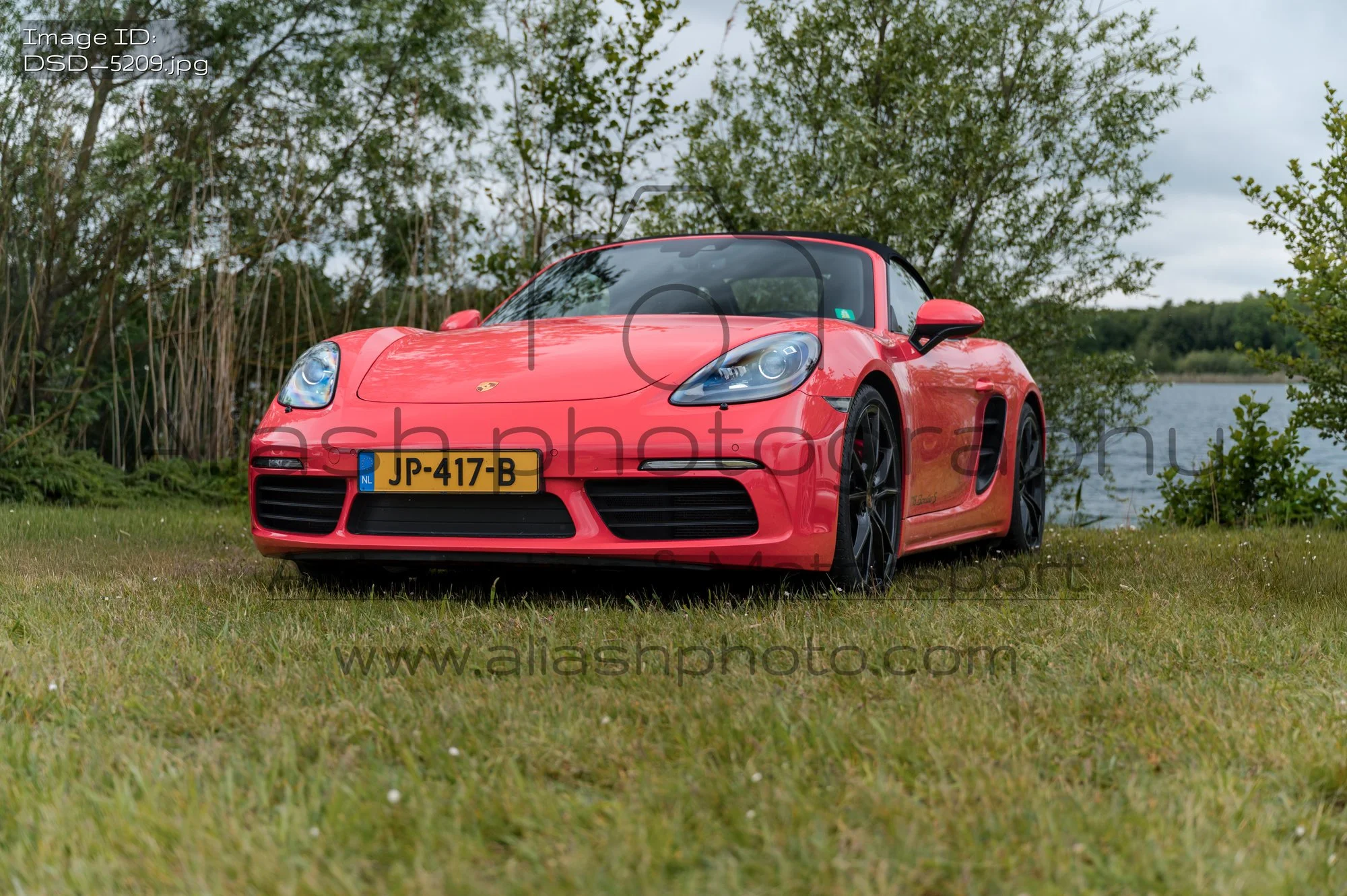 DSD_5209.jpg