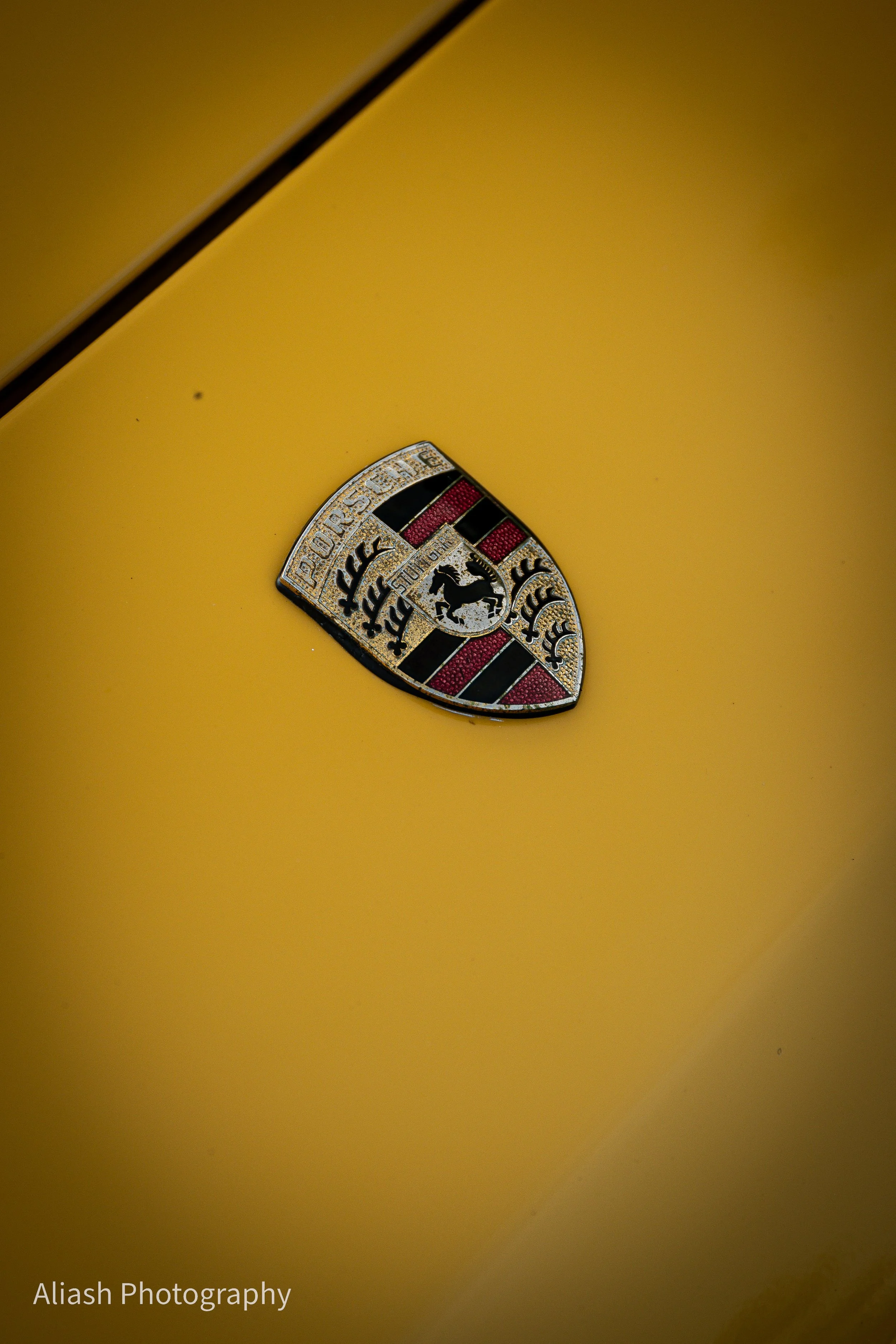 Photo 03-09-2023, 18 56 19.jpg