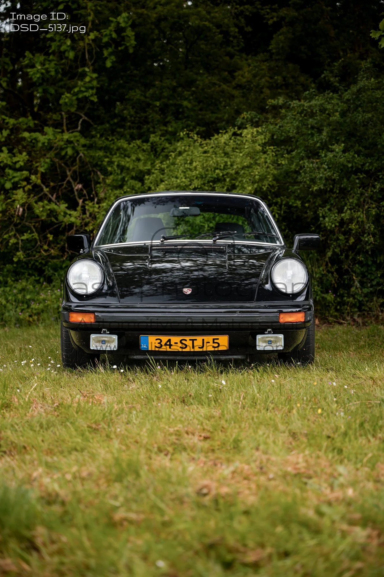 DSD_5137.jpg