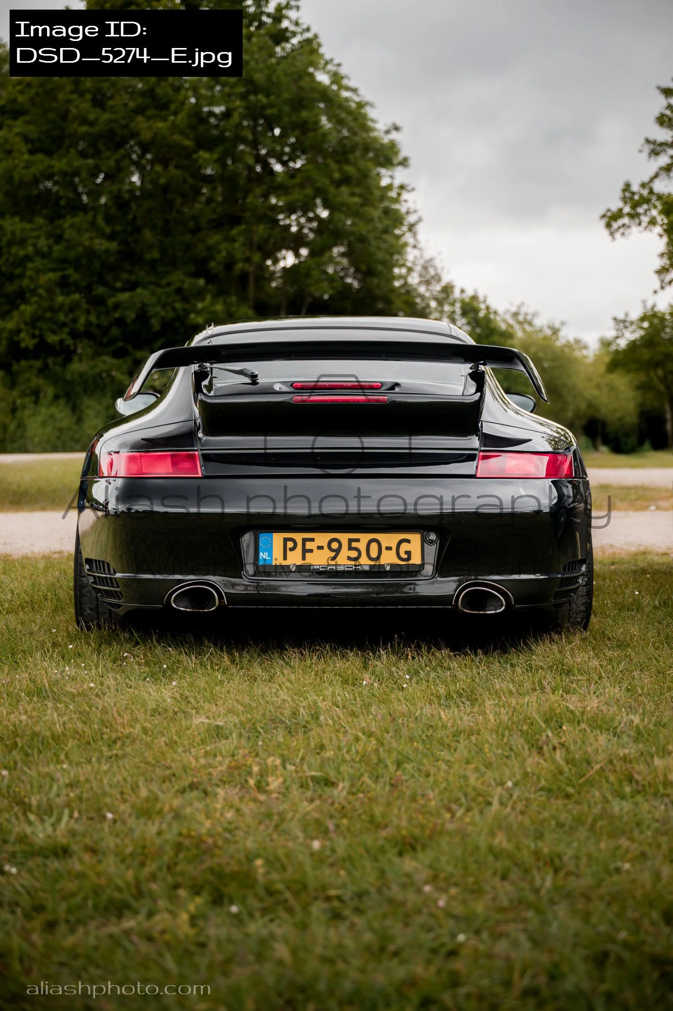 DSD_5274_E.jpg