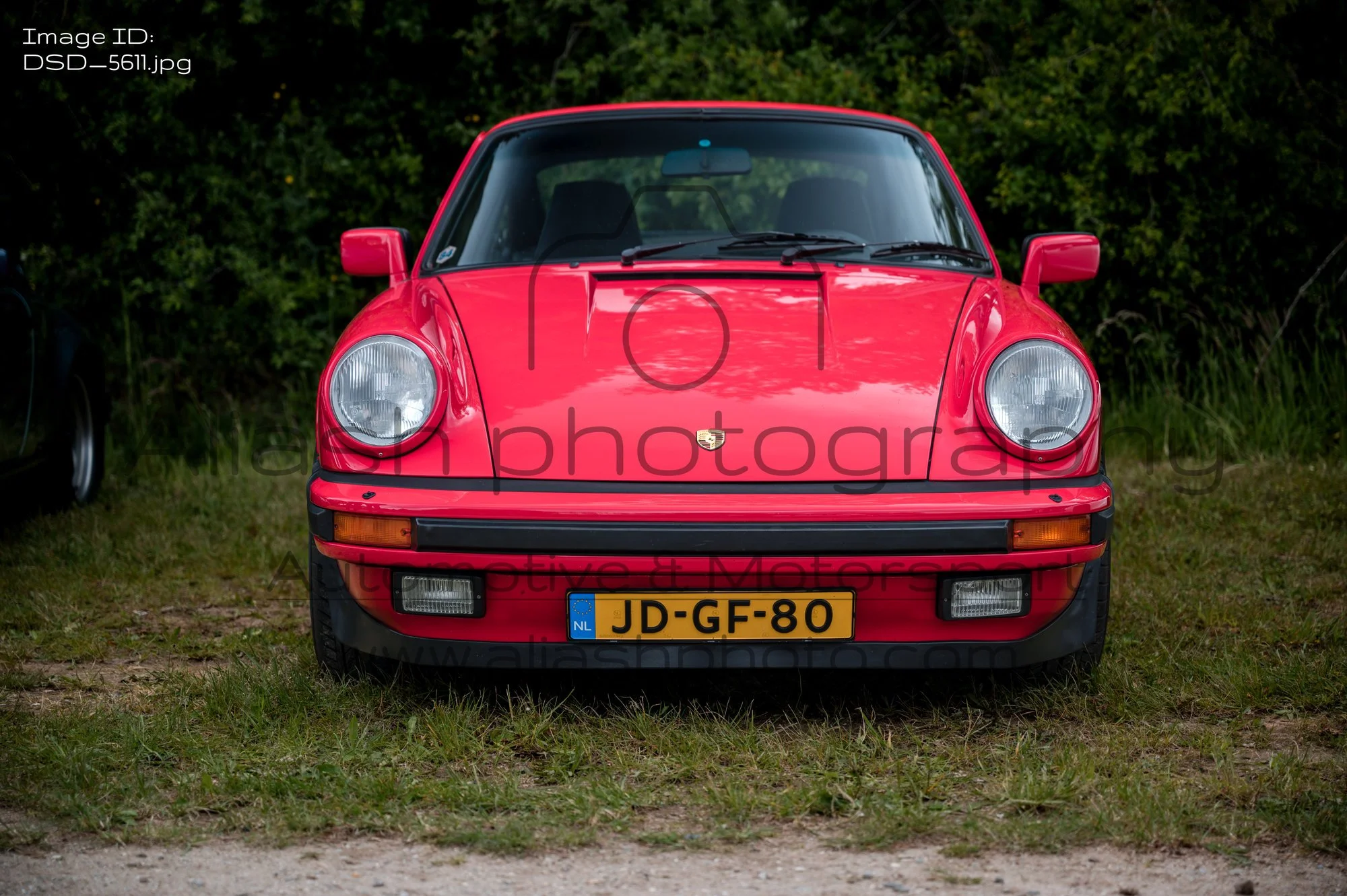 DSD_5611.jpg