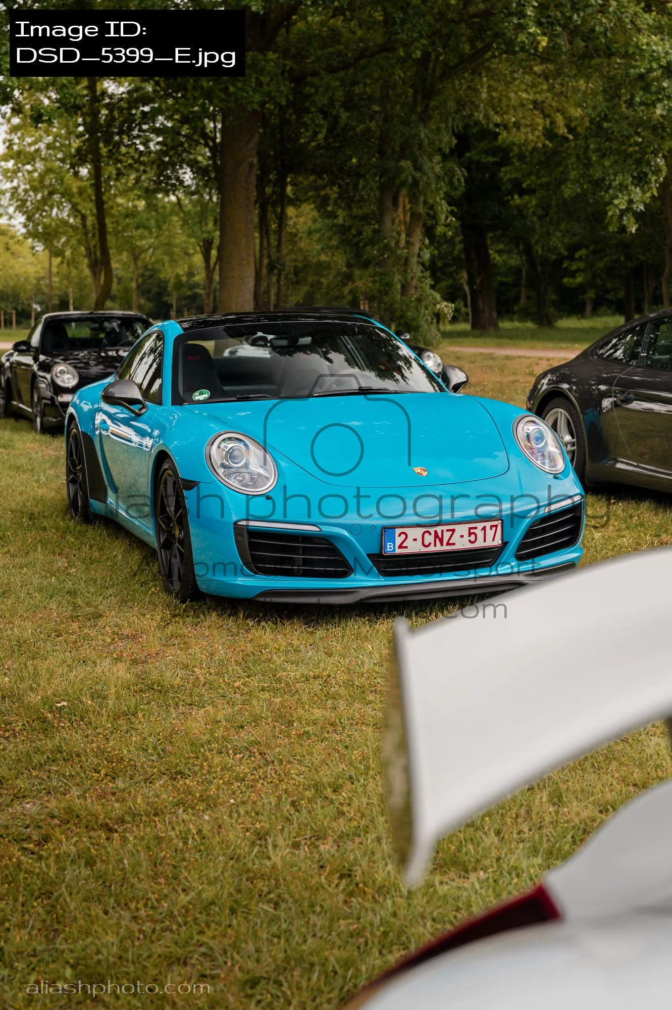 DSD_5399_E.jpg