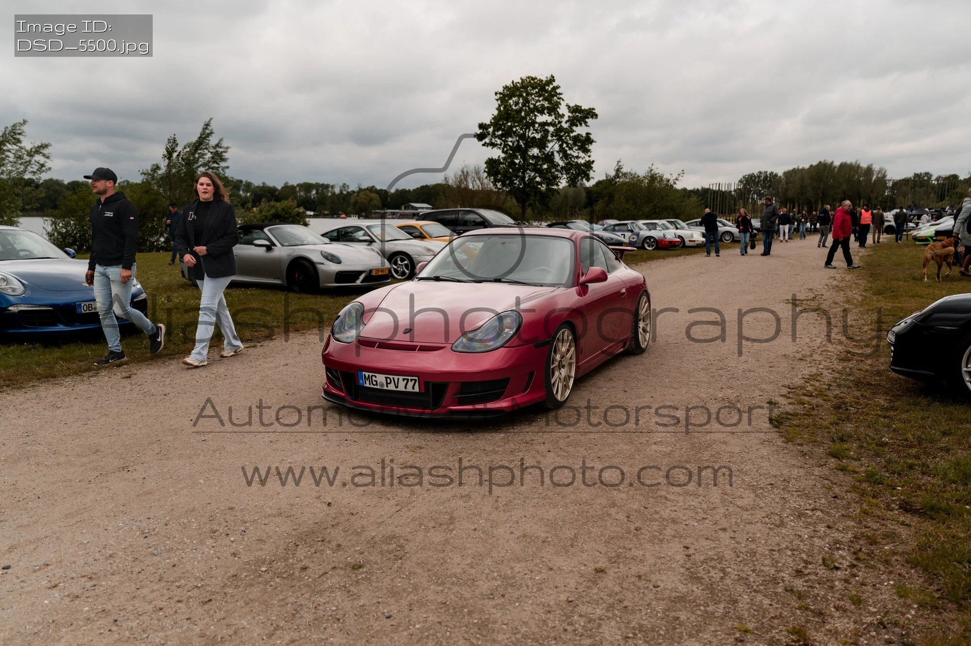 DSD_5500.jpg
