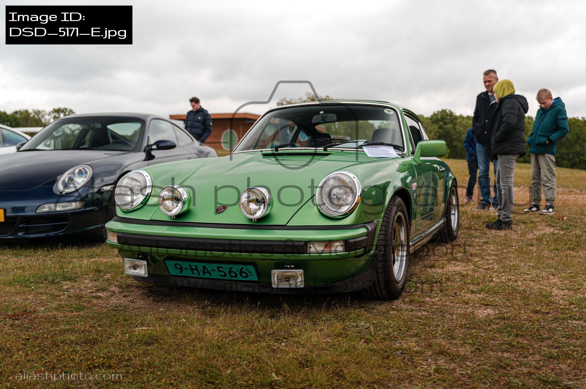 DSD_5171_E.jpg