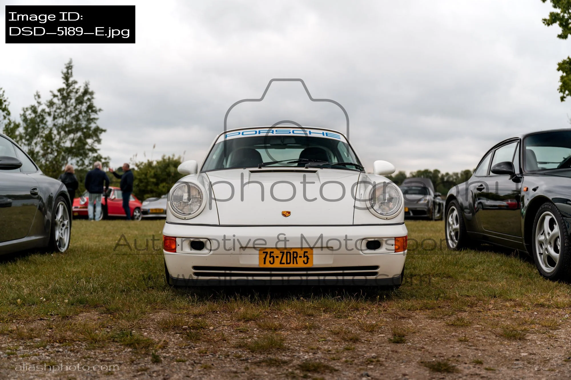 DSD_5189_E.jpg