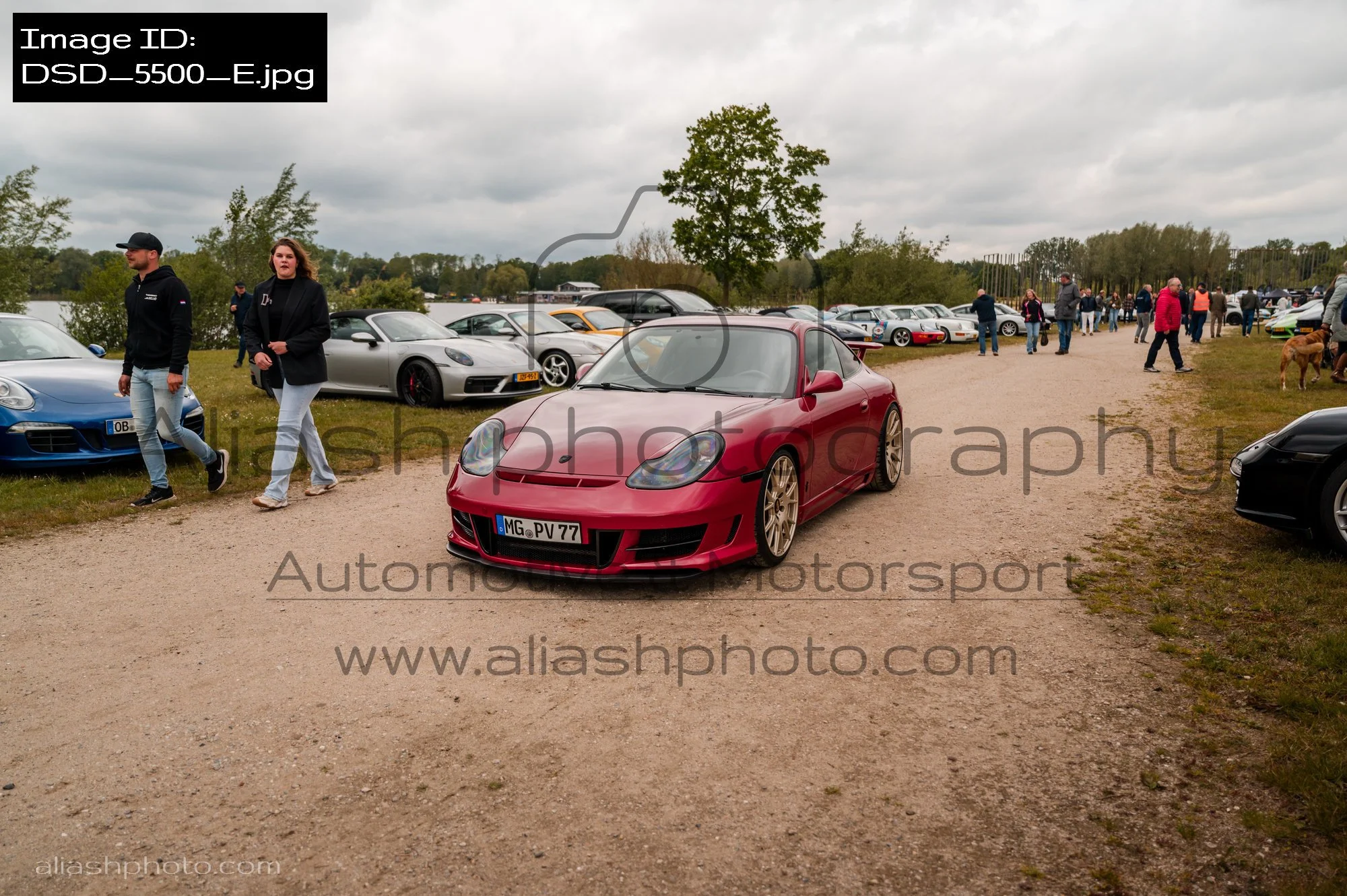 DSD_5500_E.jpg