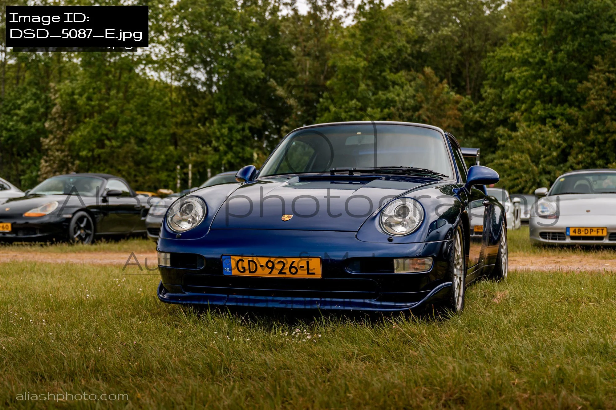DSD_5087_E.jpg