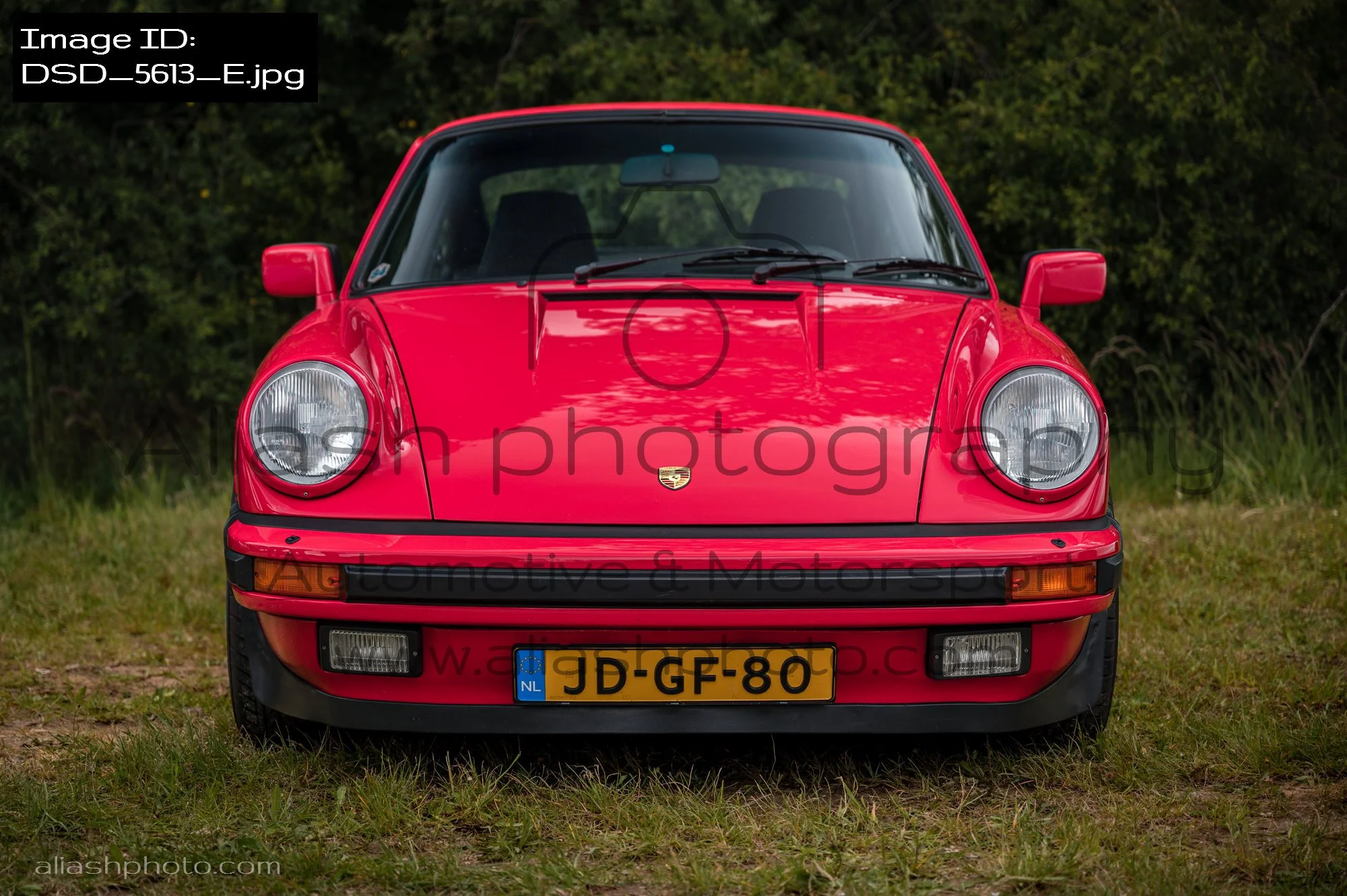 DSD_5613_E.jpg
