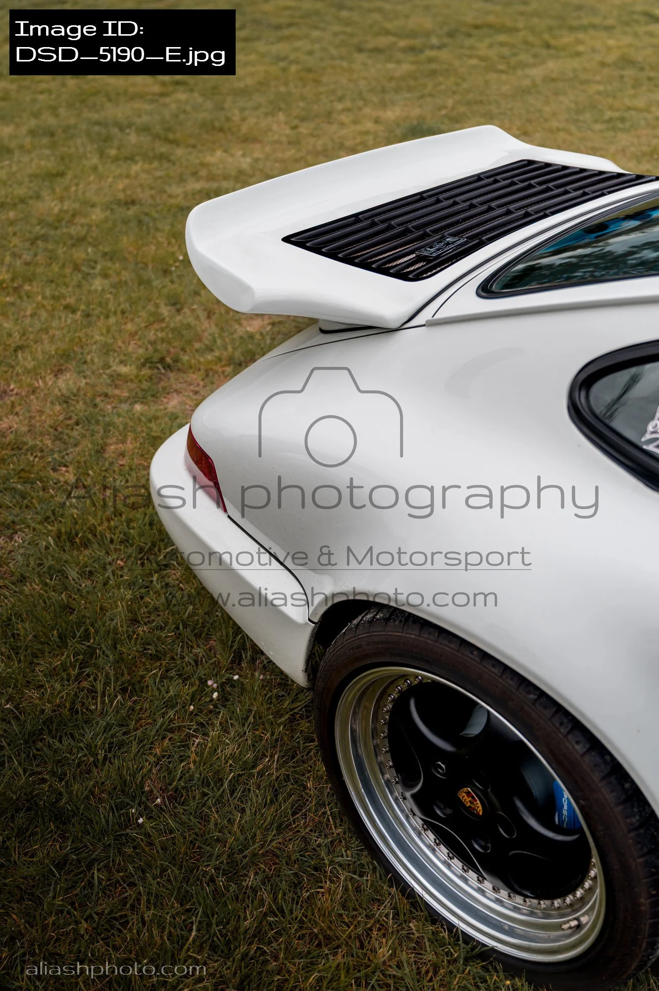 DSD_5190_E.jpg