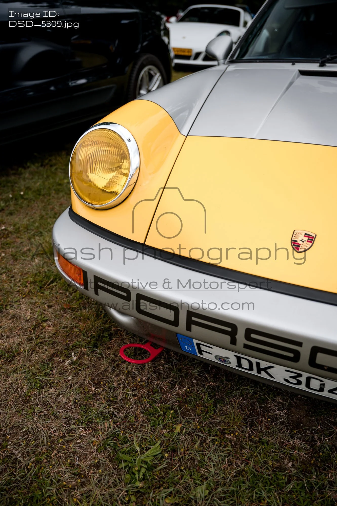 DSD_5309.jpg