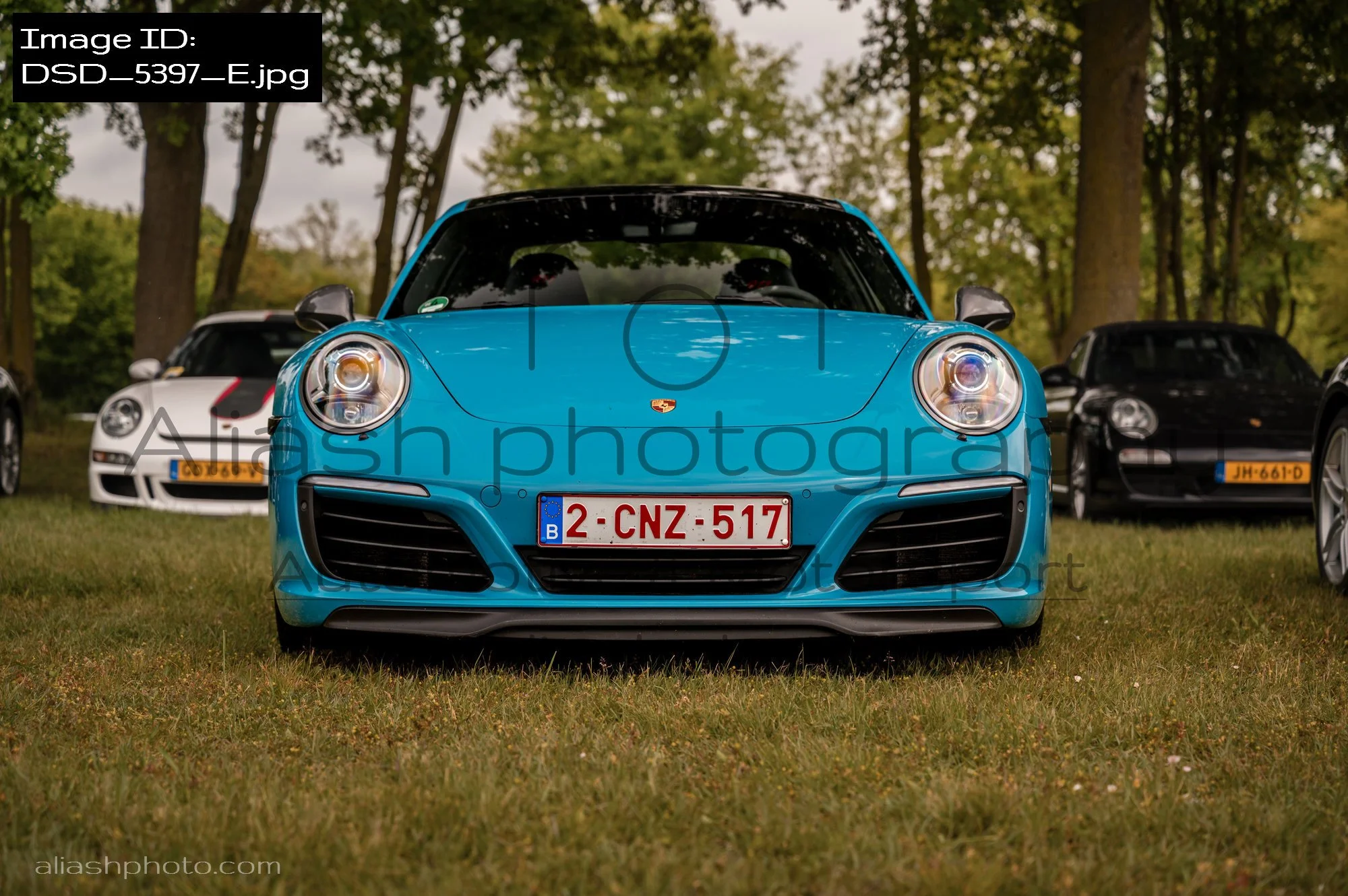 DSD_5397_E.jpg