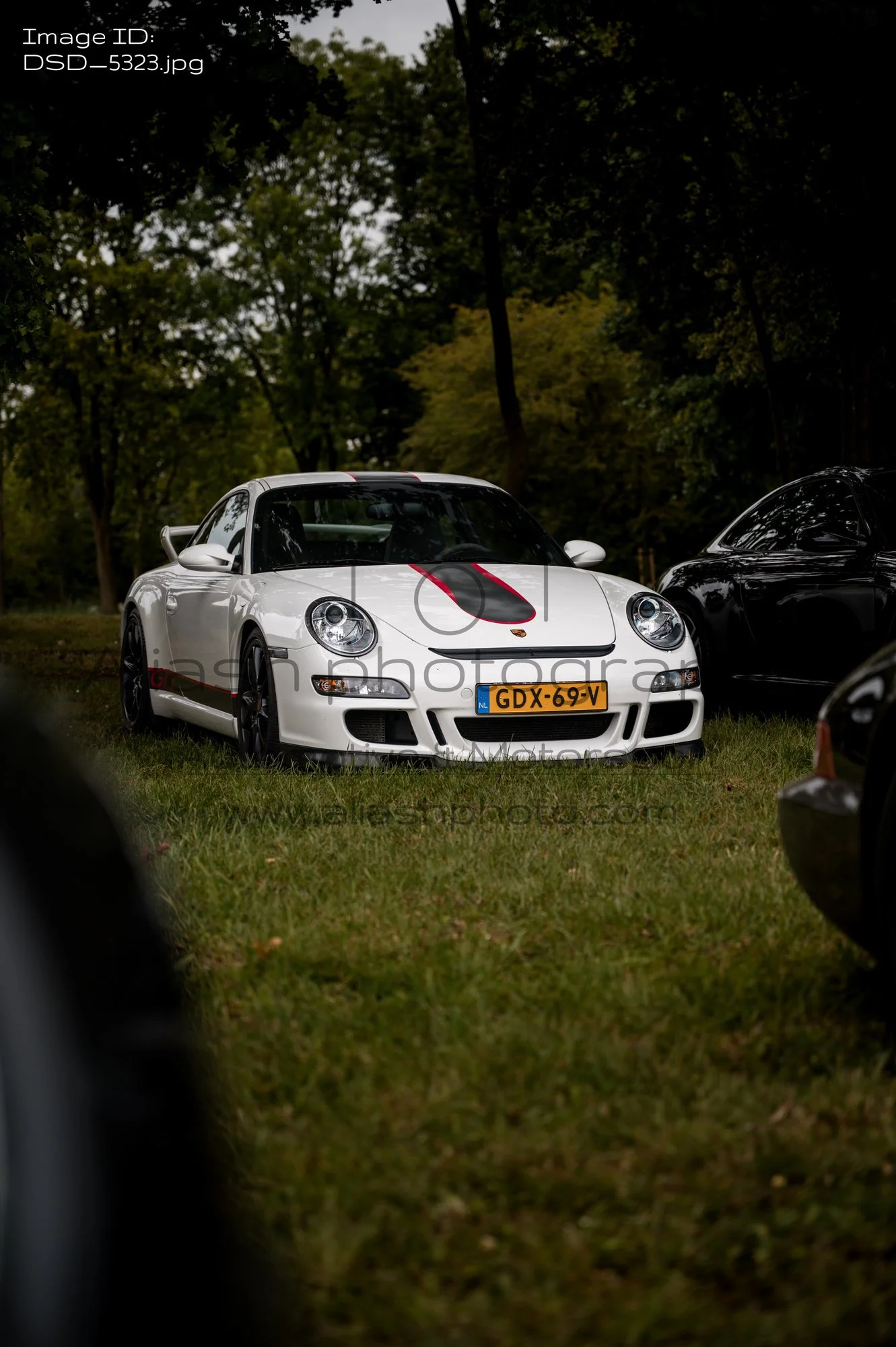DSD_5323.jpg