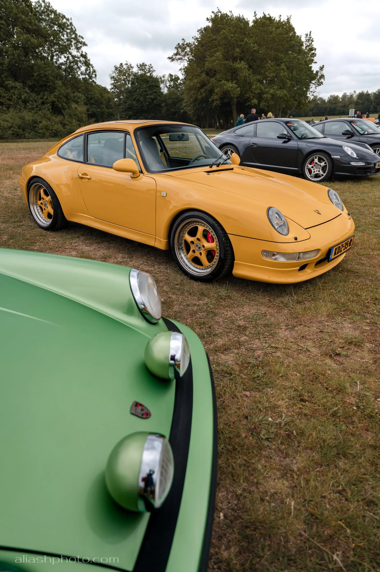 DSD_5178.jpg
