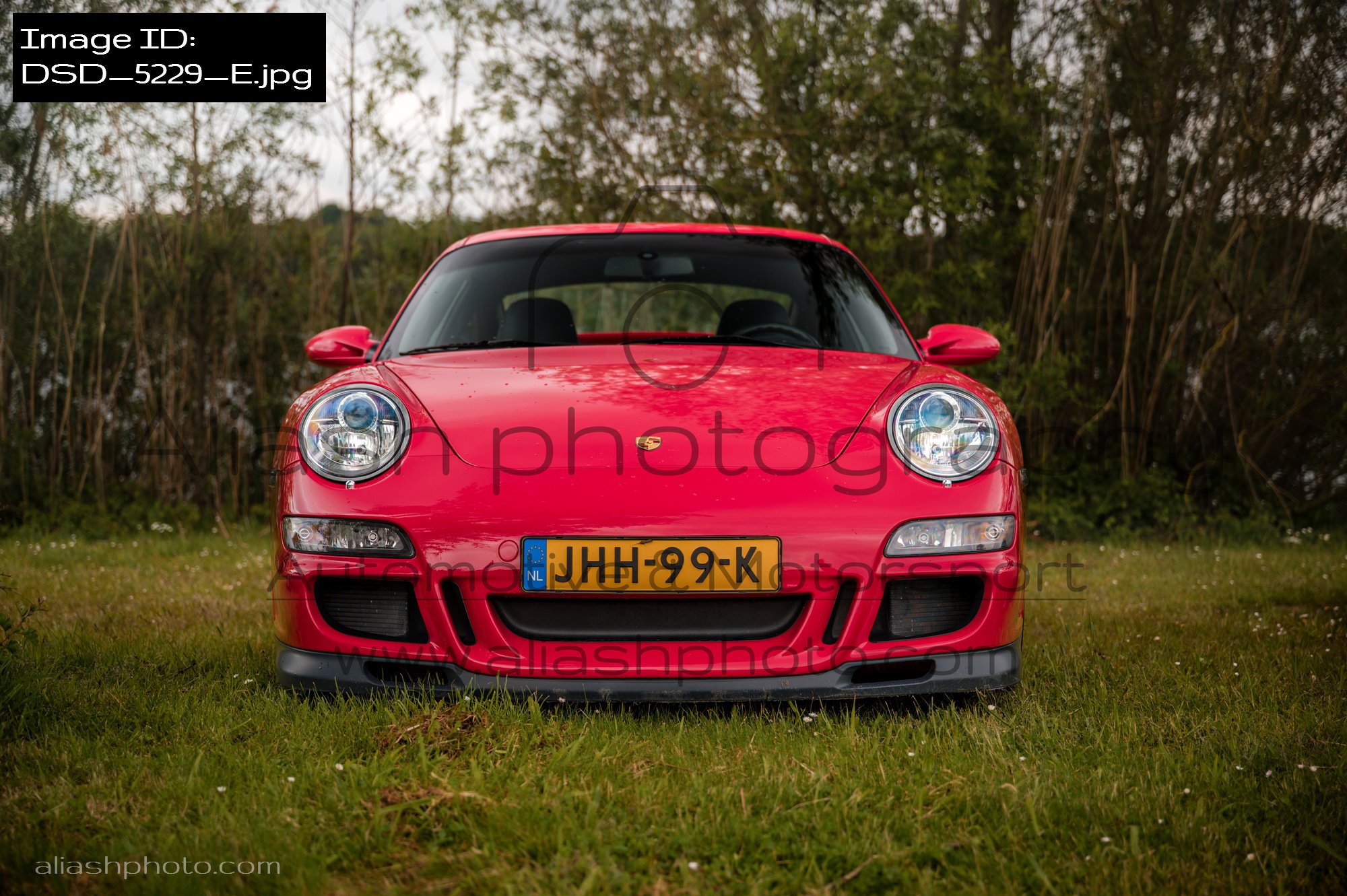 DSD_5229_E.jpg