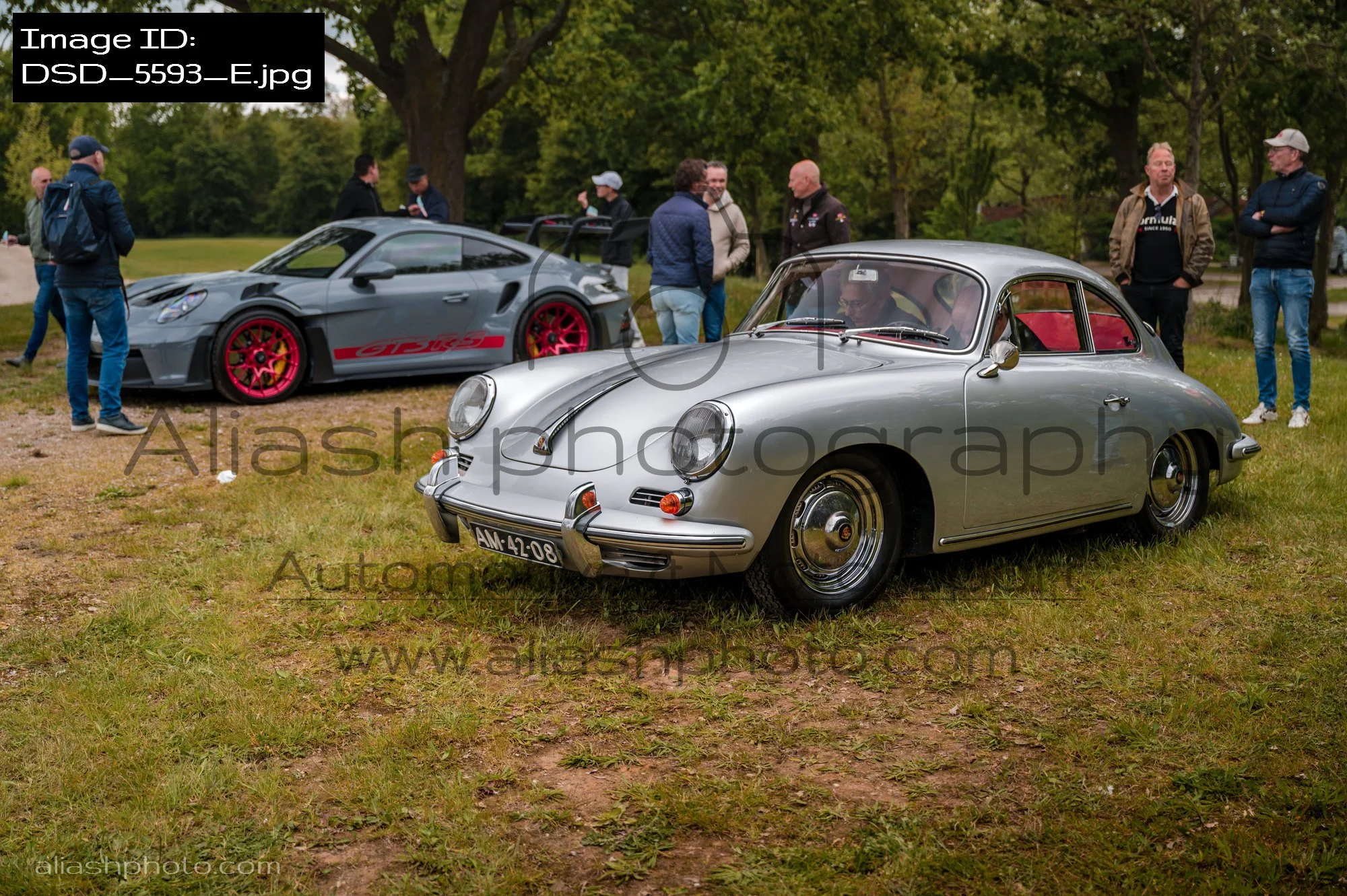 DSD_5593_E.jpg