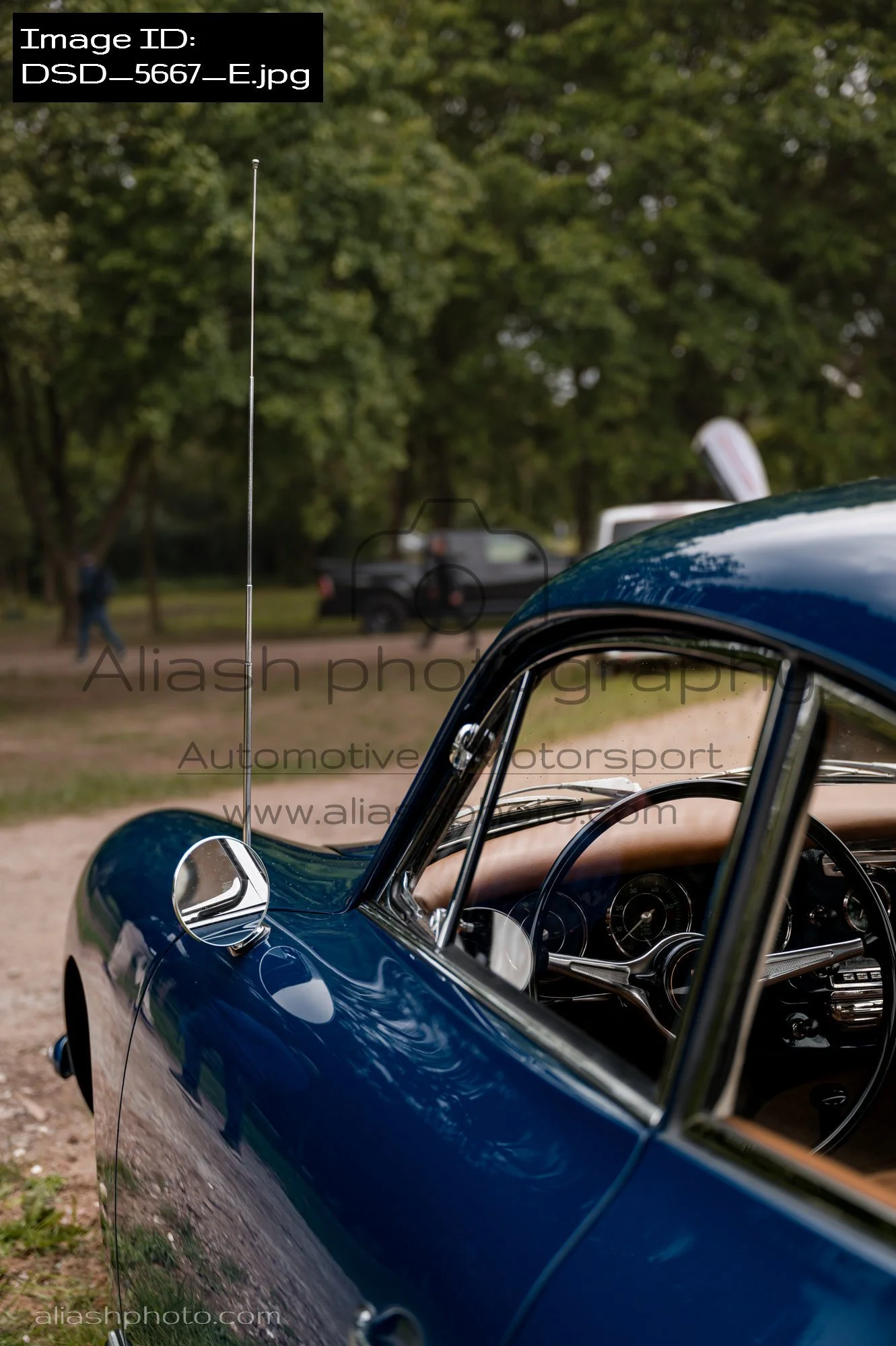 DSD_5667_E.jpg