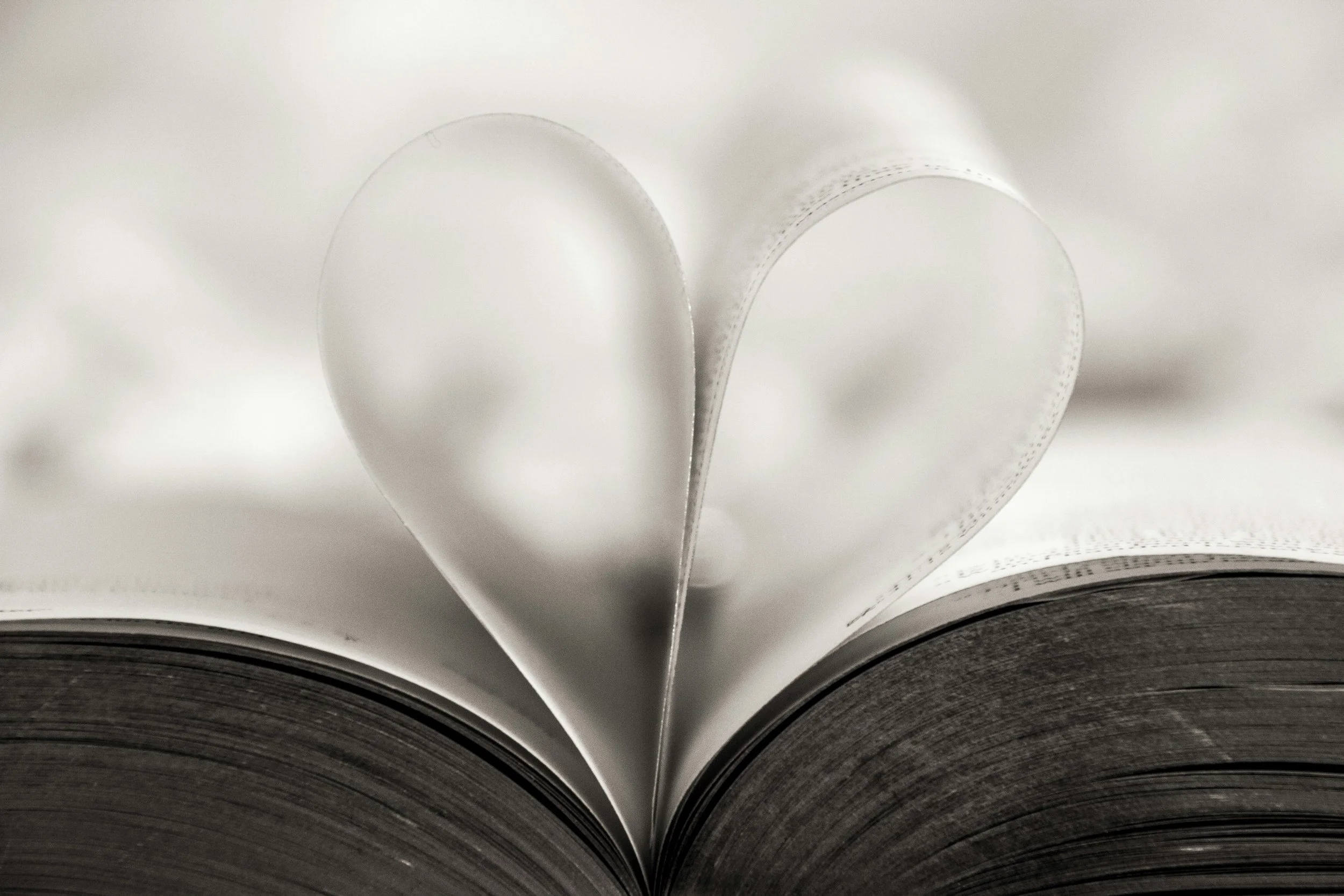 Open book with its pages folded to form a heart shape in the center
