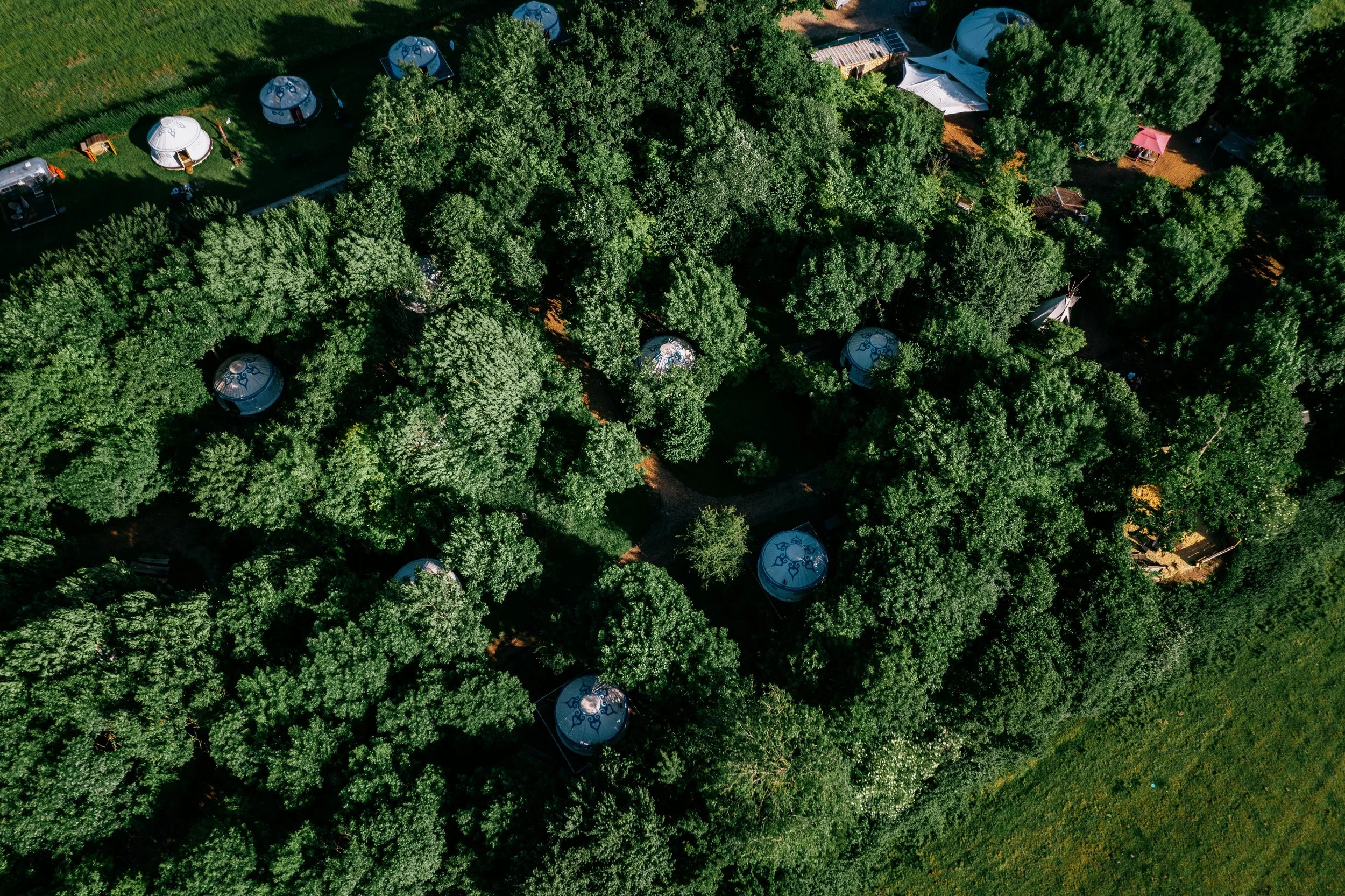 An aerial view of a wooded area with several small, circular tents or yurt-like structures among the trees. There are also some open tents, pathways, and a few small buildings or sheds nearby.