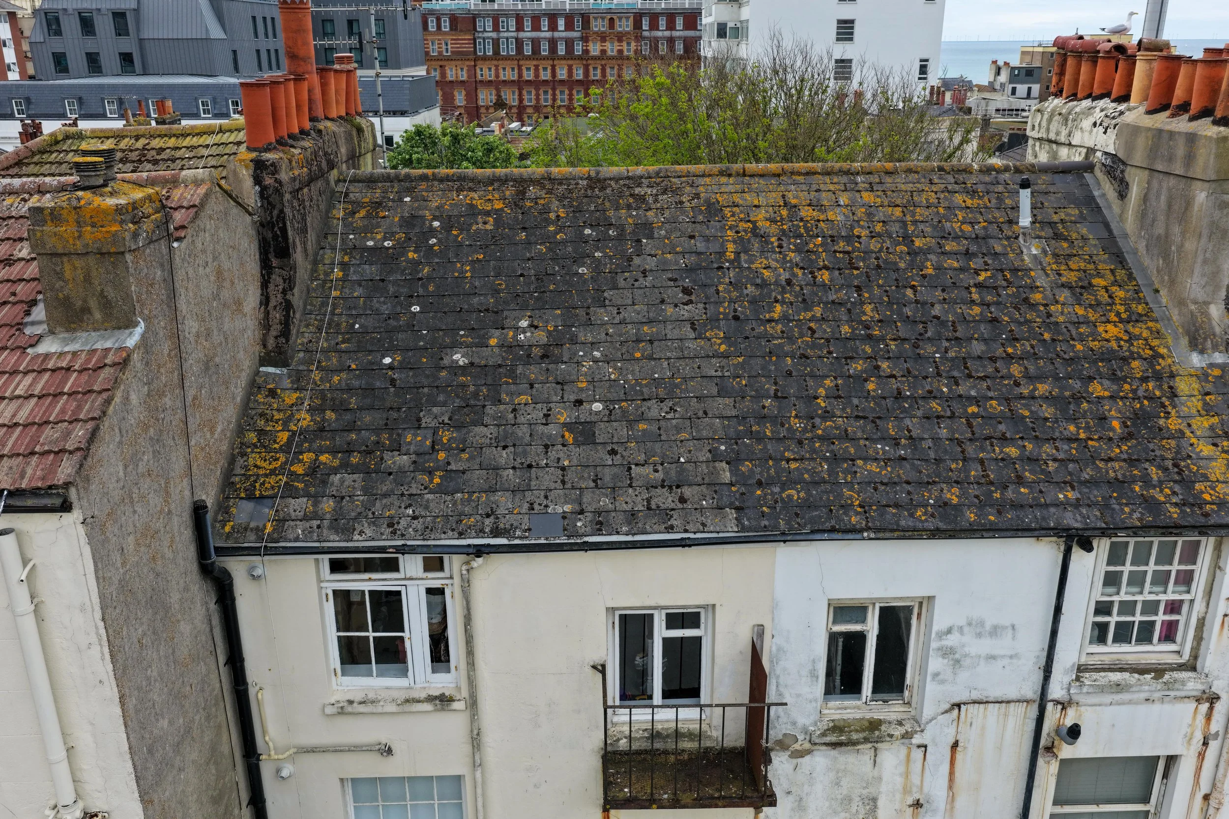 Top view of a rooftop with black slate tiles covered in yellow and orange moss, surrounded by adjacent buildings and a distant body of water.