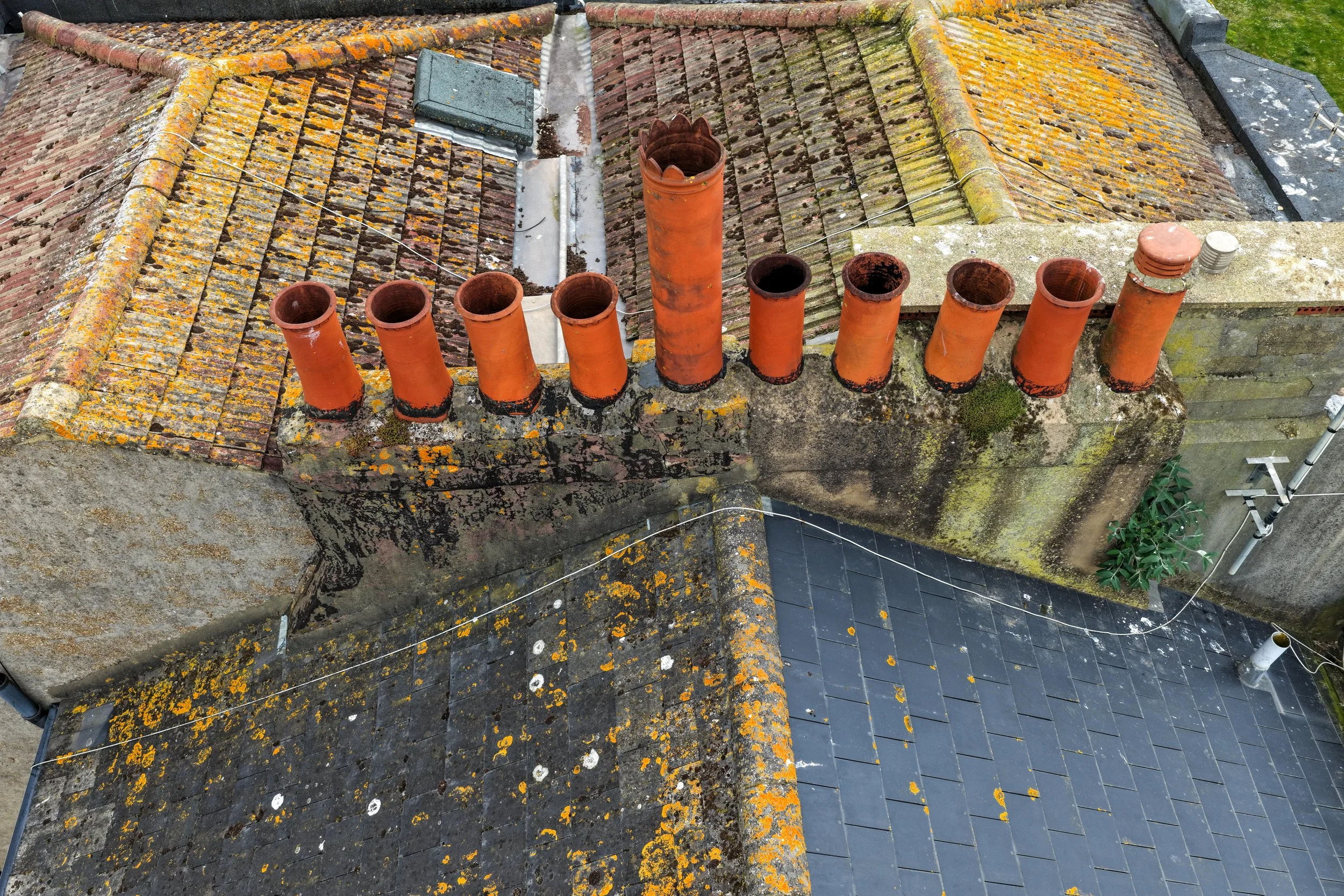 A rooftop with weathered, moss-covered tiles and nine orange chimney pipes, some with caps, along the edge of the roof. There are also some wires and a green tile on the roof. The roof has patches of lichen and moss.