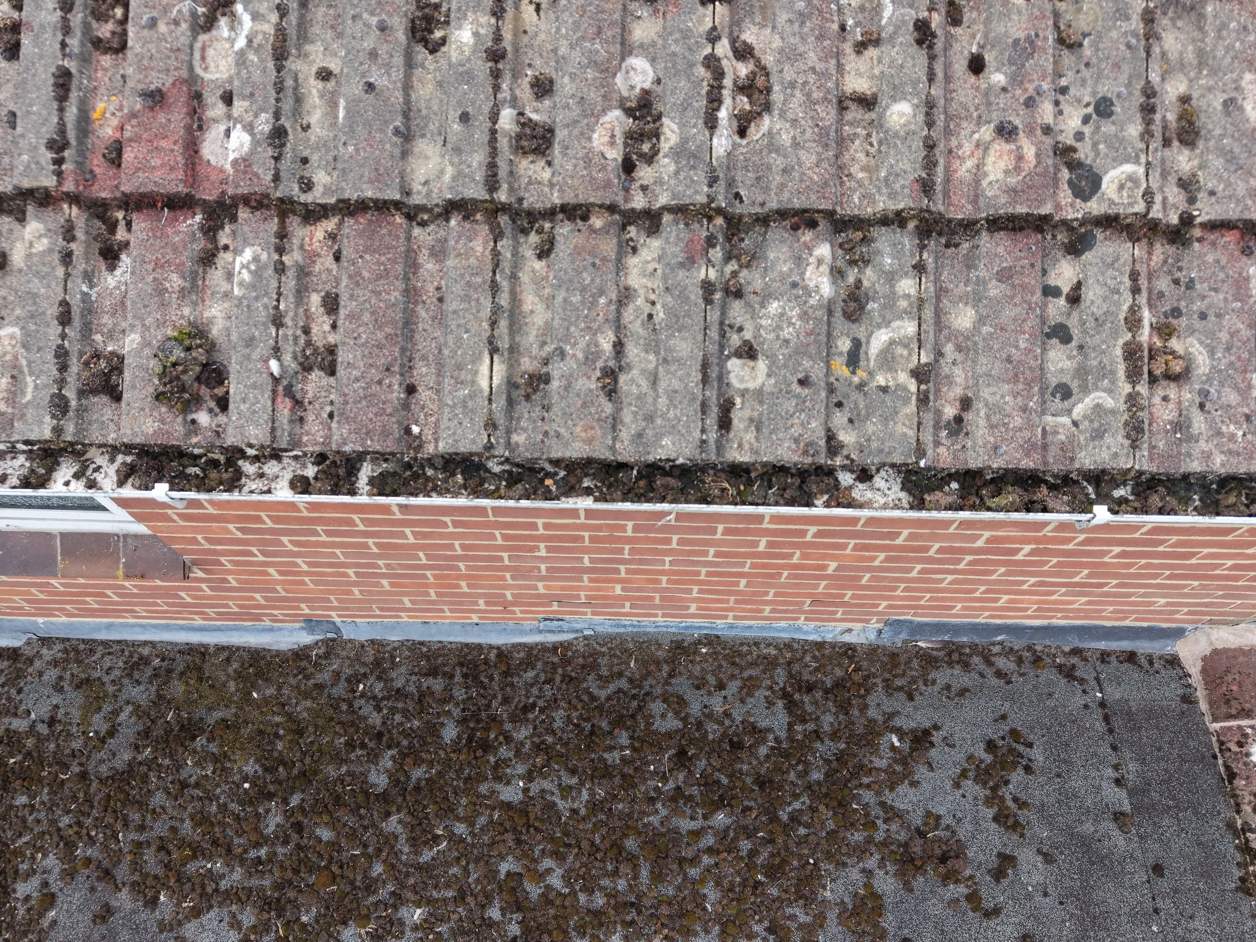 Close-up photo of a brick sidewalk with black and white spots and dirt between the bricks, and some moss or mold growing in the cracks.