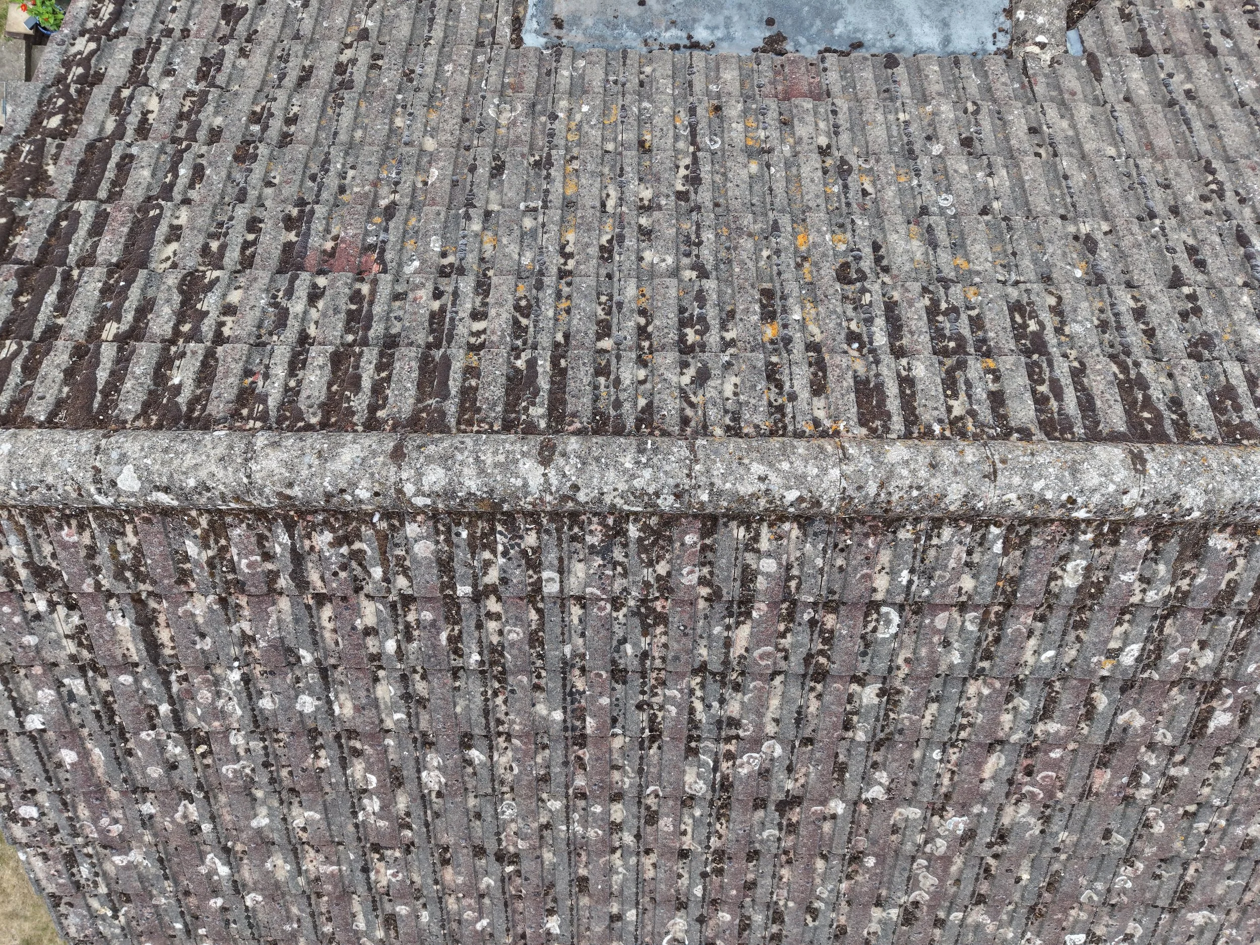 Close-up of brick steps with wear and moss growth.