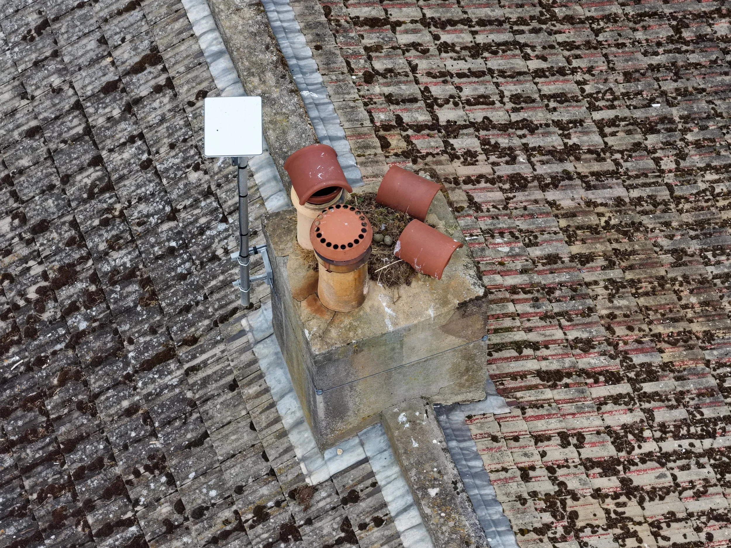 A rooftop with weathered, mossy tiles, a small satellite dish, a chimney with a vent cap, and a white antenna.
