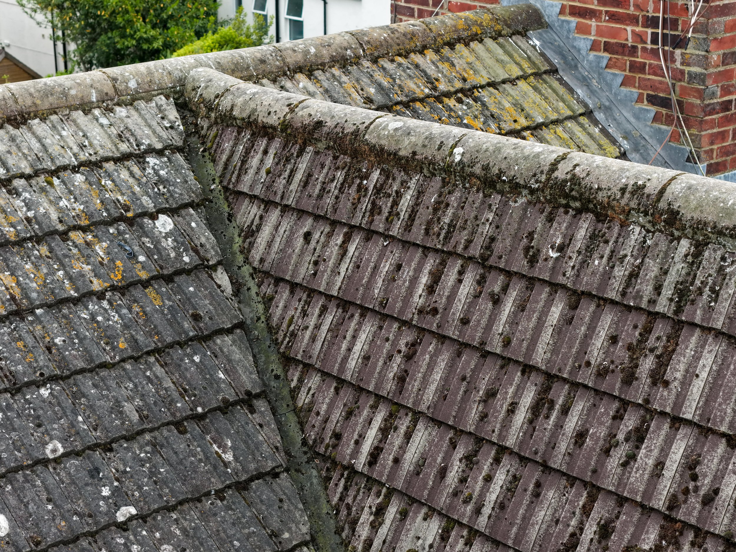Close-up of a weathered, moss-covered slate roof with a brick chimney and electrical wires, with green trees and a building partially visible in the background.