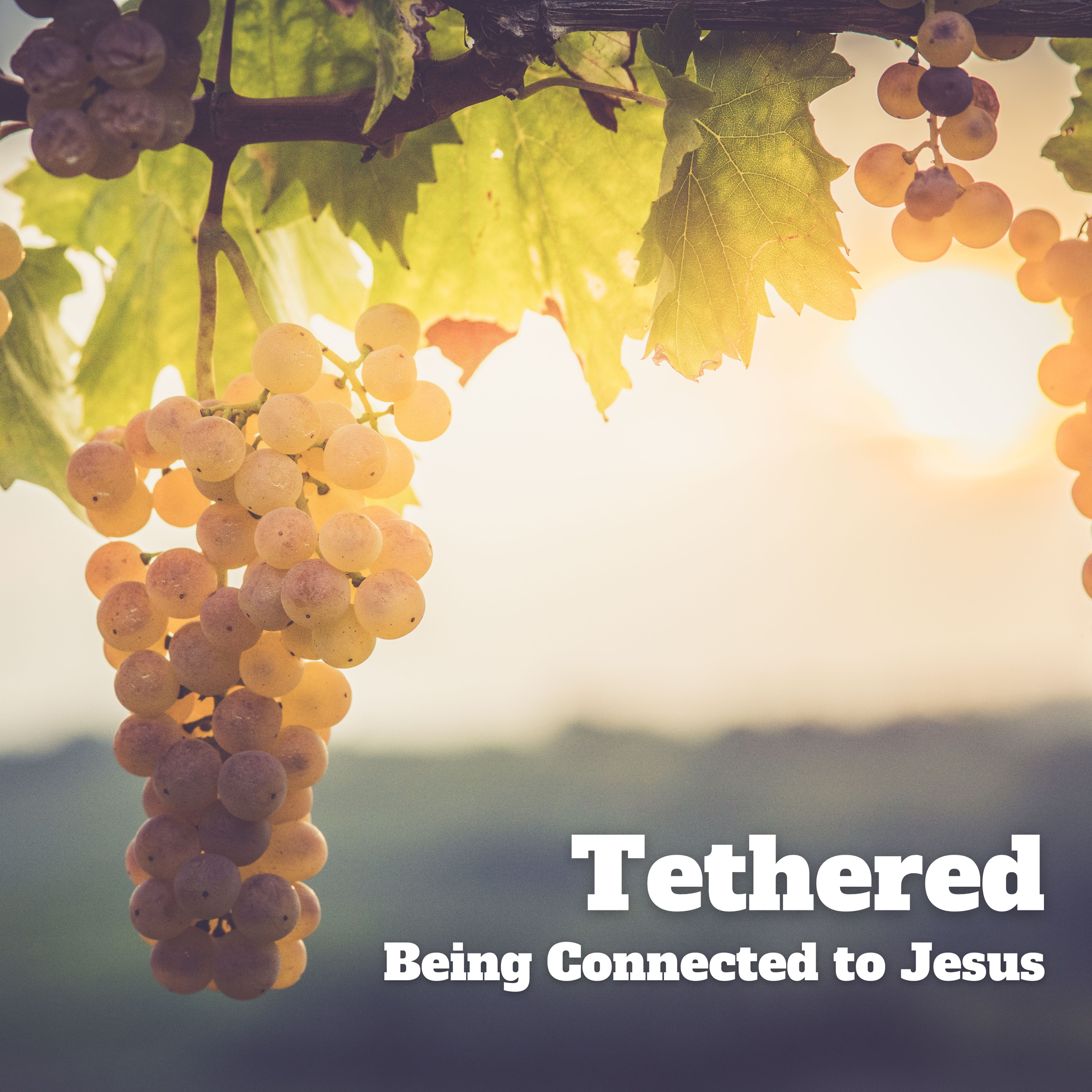 Tethered: Being Connected by Jesus