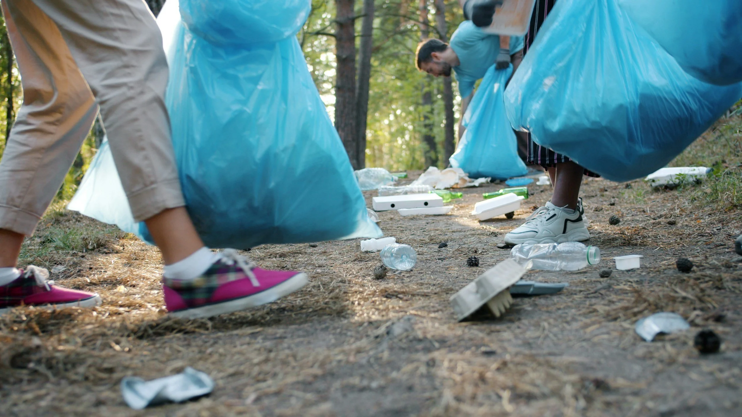 People picking up trash in a forest, holding large blue garbage bags with litter on the ground.