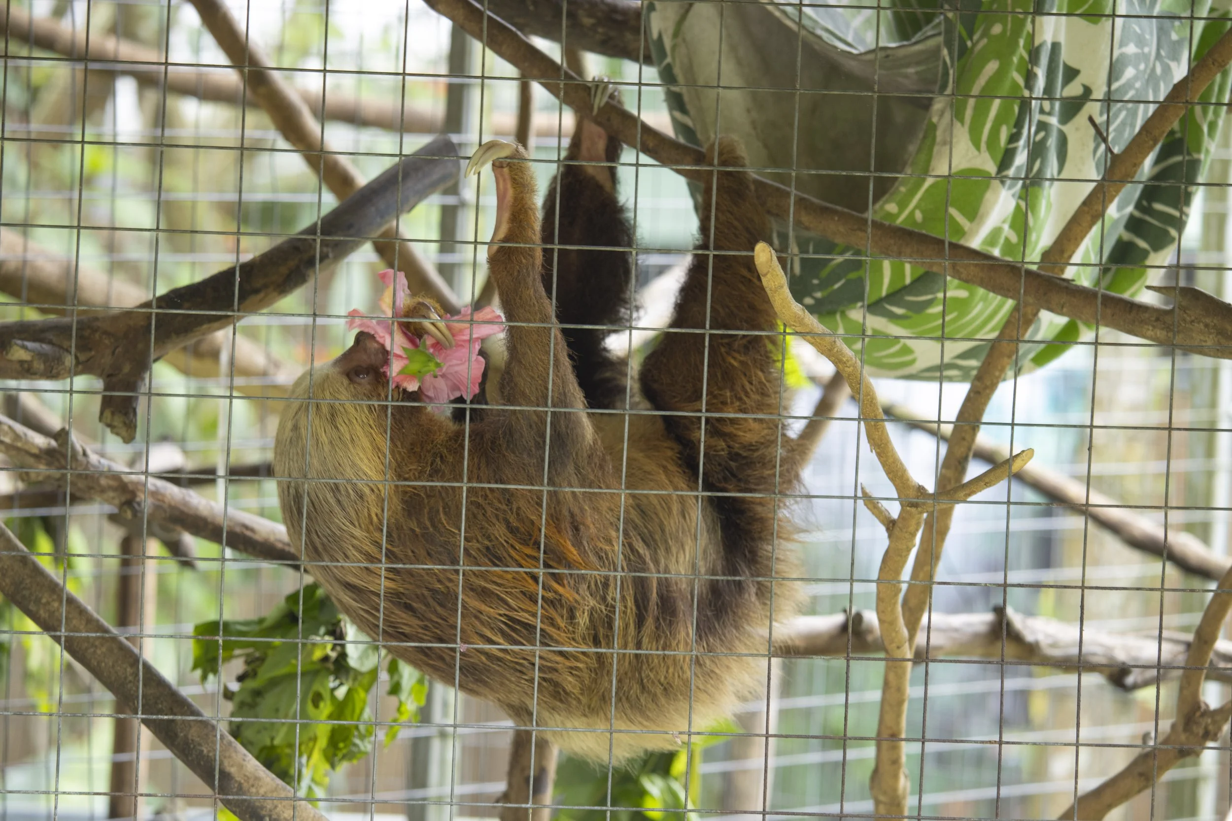 Animals Gallery-1598.jpg
