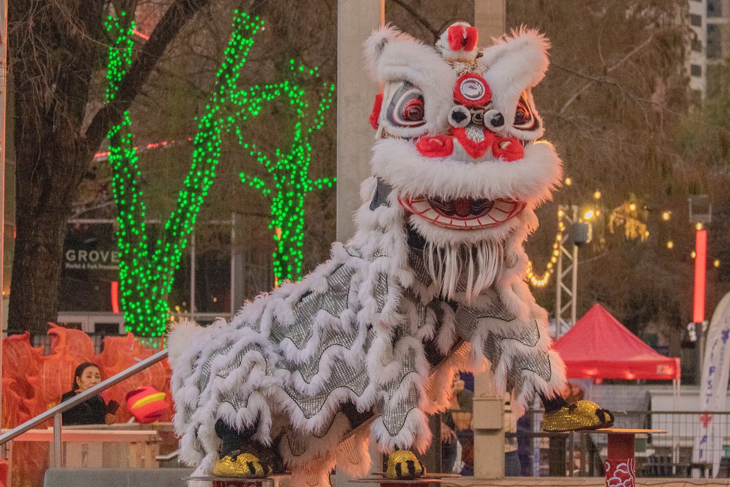 Lion Dance Choice-2522.jpg