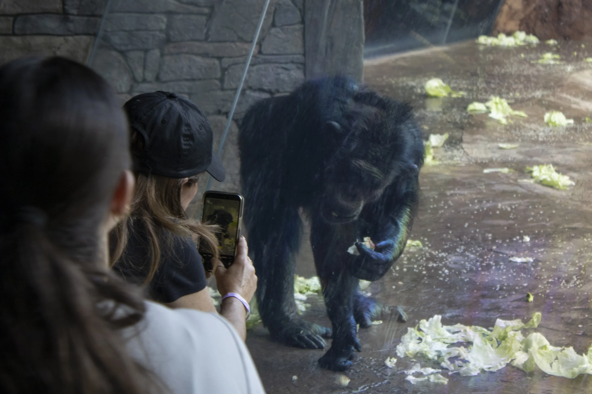 Animals Gallery-0607.jpg
