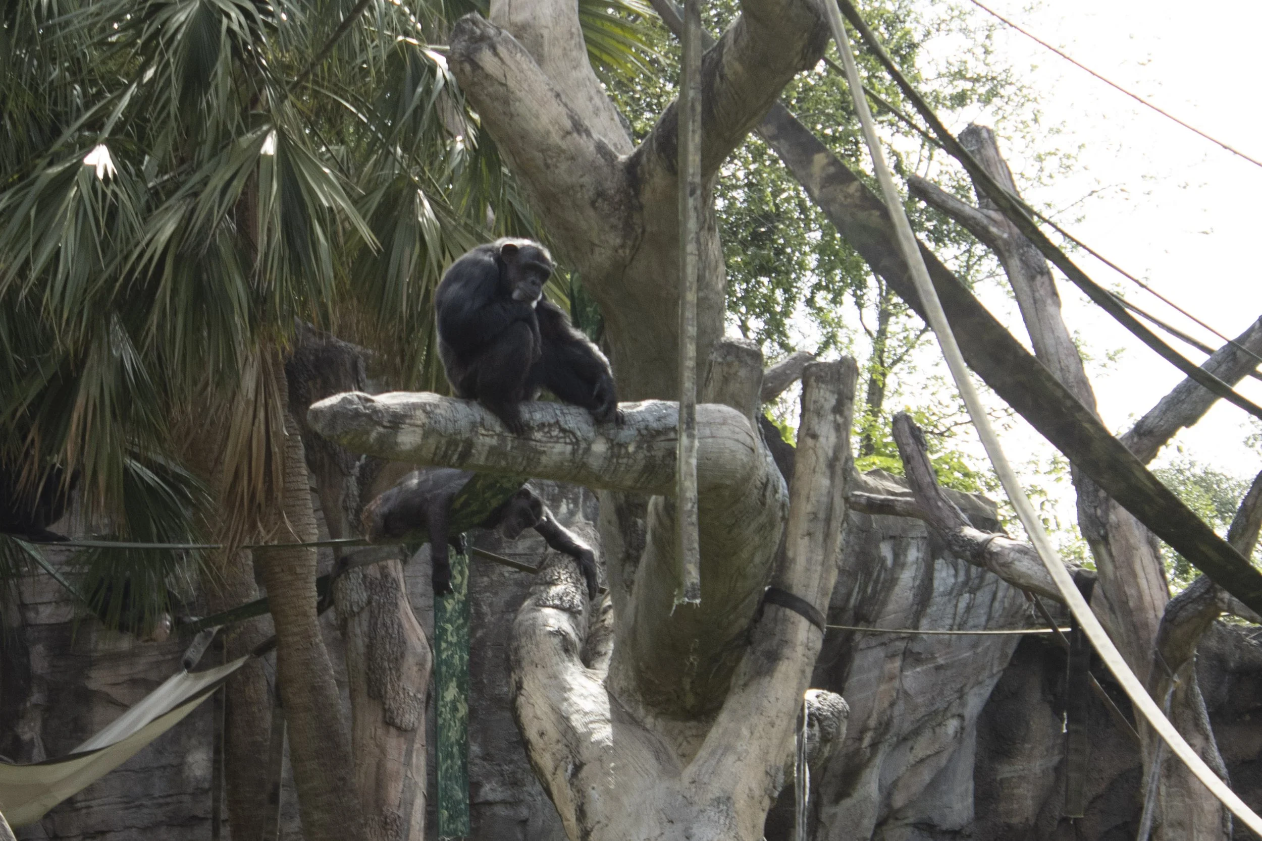 Animals Gallery-0572.jpg