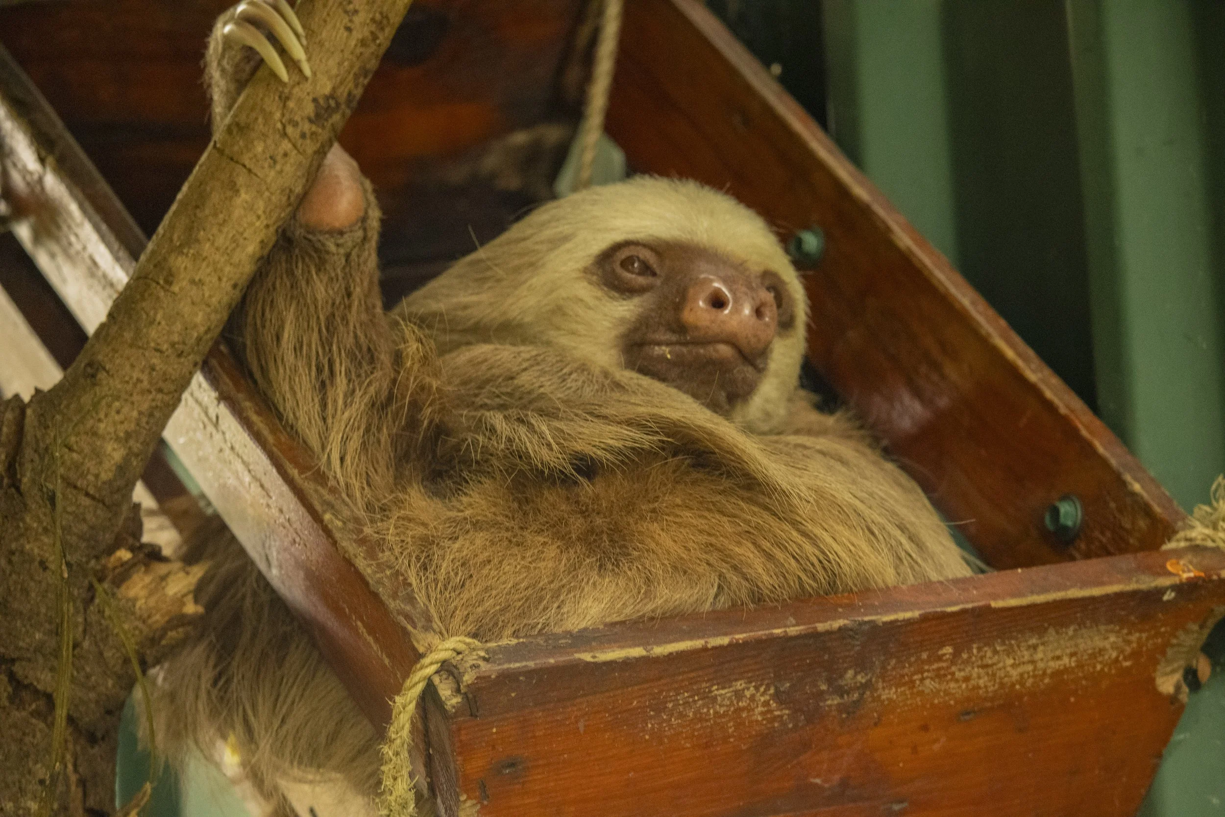 Animals Gallery-1721.jpg