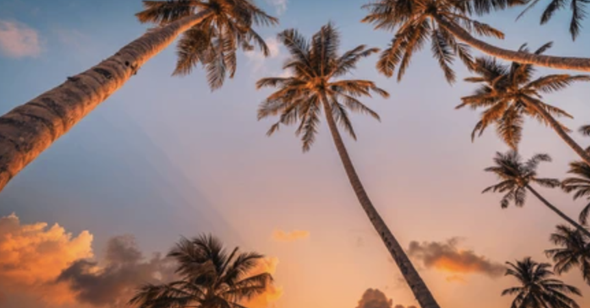 Screenshot 2026-01-12 at 11.31.30 AM.png