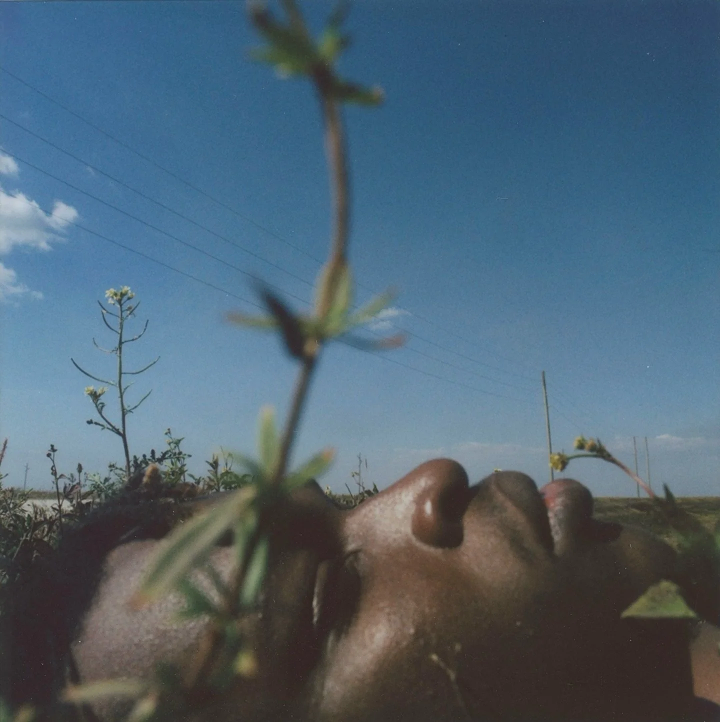 EMBEDDED

Photos taken on Mamiya rb67 using @fujifilm_instax_northamerica with @frankinstax back 

#mamiya #instantfilm #dreamscape
#AlternativePhotography
#filmisnotdead